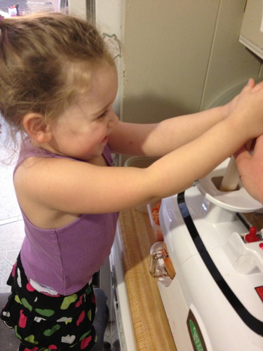 Tribest Greenstar GSE-5000 Elite Twin Gear Cold Press Slow Masticating Juicer (White) customer photo 2