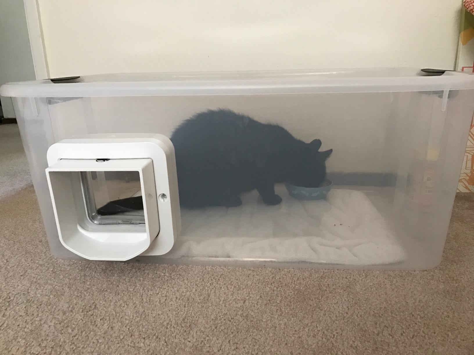 SureFlap - Sure Petcare Microchip Cat Flap, White, Scans Pet's ID on Entry, Flap Opening 4 3/4 in H by 5 5/8 in W customer photo 1