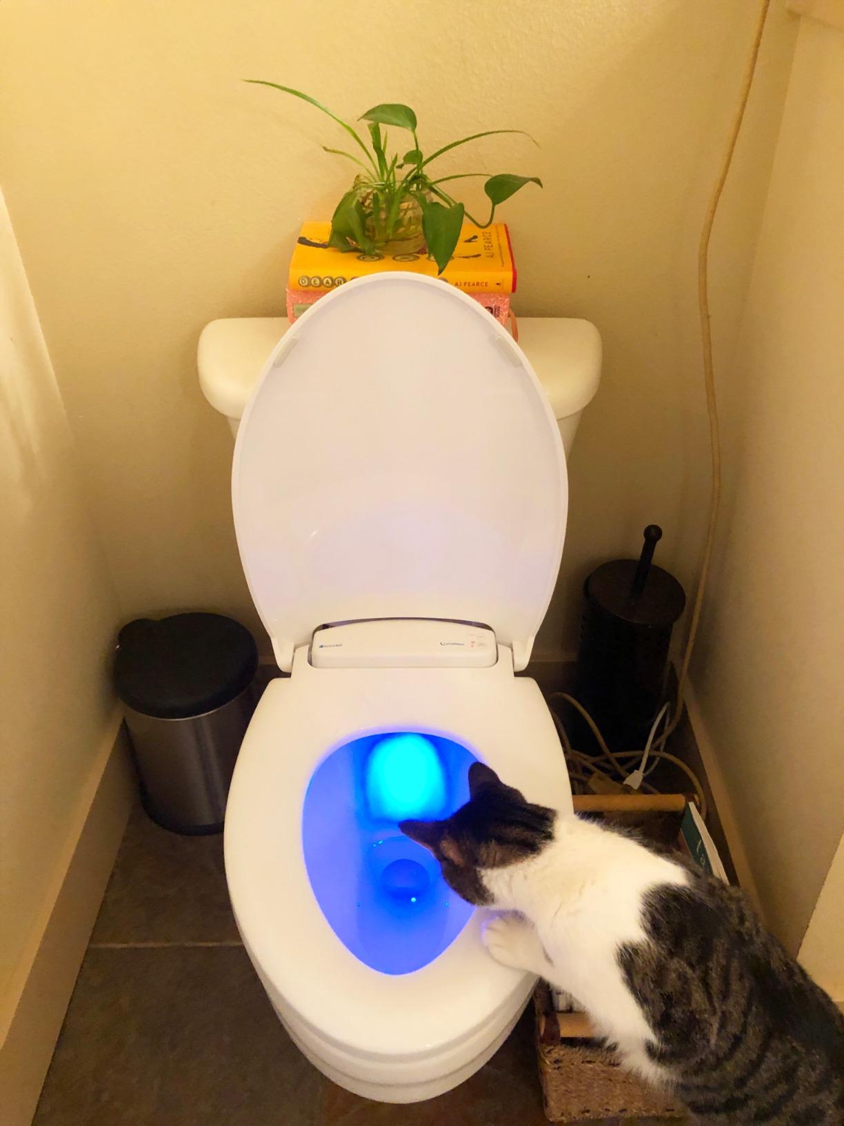Brondell L60-EW LumaWarm Heated Nightlight Elongated Toilet Seat, White customer photo 2