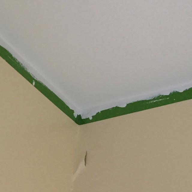 KILZ Stainblocking Ceiling Paint, Interior, White, 1 Gallon customer photo 1