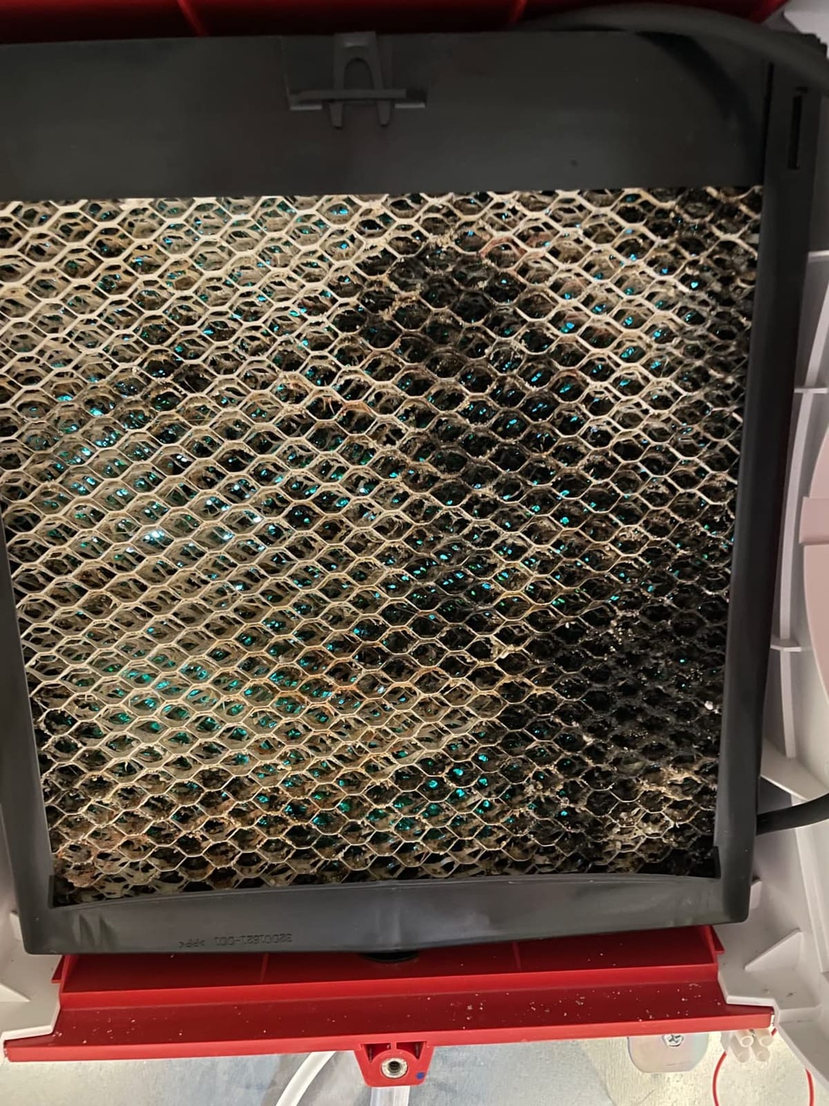 Honeywell Home HE280A Whole House Humidifier customer photo 1