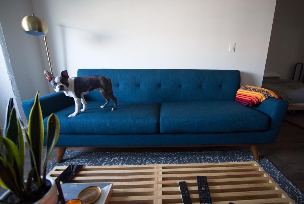 Modway Engage Mid-Century Modern Upholstered Fabric Sofa in Azure customer photo 1