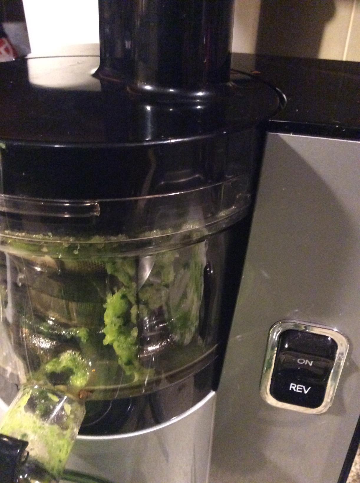Omega Pure Press Cold Press, Vertical Low-Speed Juicer, in Red (VSJ843QR) customer photo 1