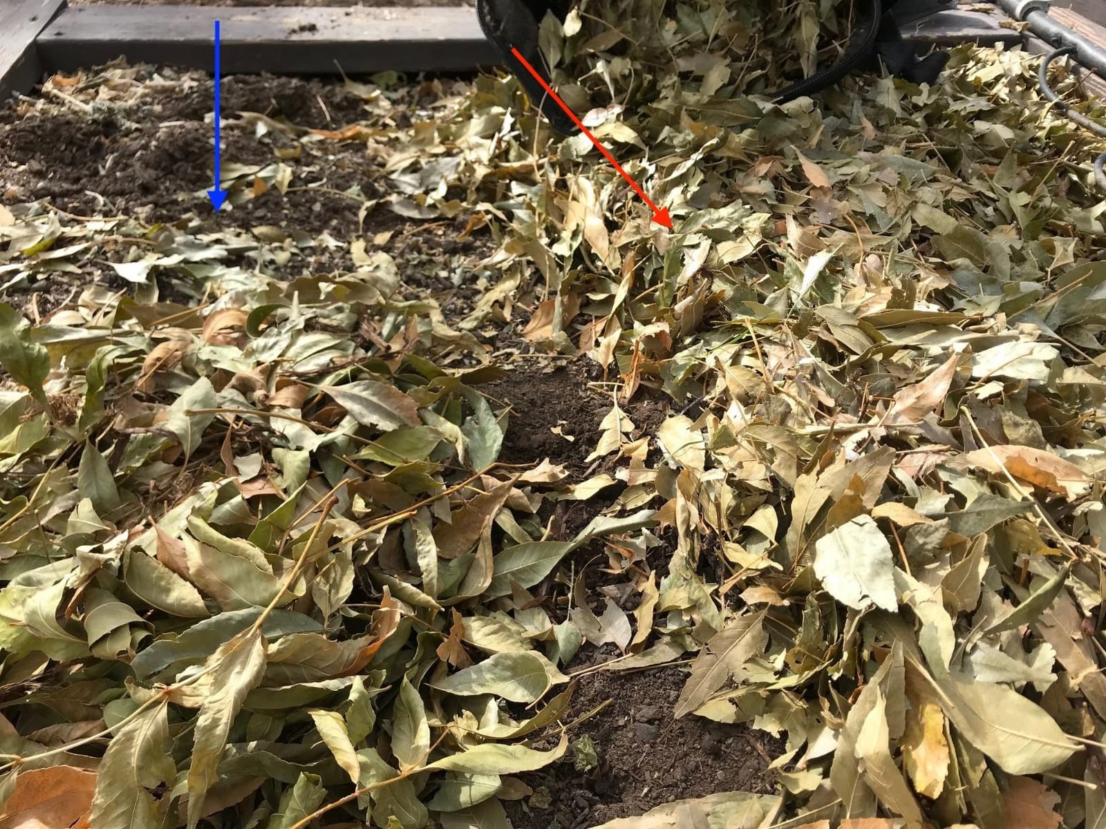 WORX Trivac 3-in-1 Electric Leaf Blower/Leaf Vacuum/Leaf Mulcher, WG509 | 350CFM & 210MPH Airflow, 18:1 Mulch Ratio for Efficient Leaf Removal, Corded customer photo 1