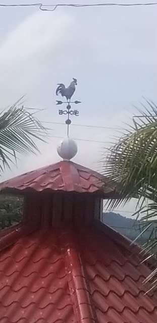 Westcharm 48 in. Crowing Metal Rooster Weathervane | Wind Wheel Decorative Garden Stake with Rooster Ornament | Chicken Garden Weather Vane customer photo 1