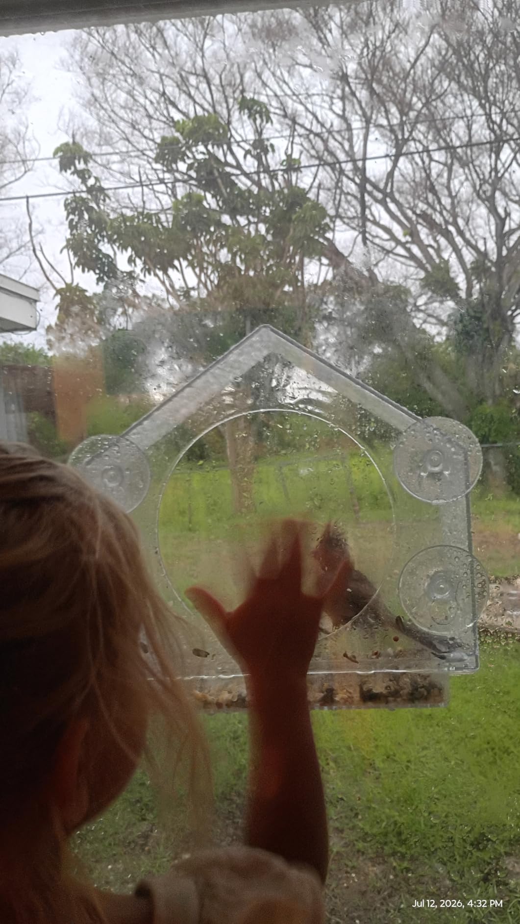 Window Bird Feeder with Strong Suction Cups, Bird Feeders for Outdoors | leak proof with sealing gasket included, bee and wasp proof flowers, large nectar capacity, refills without unmounting customer photo 1
