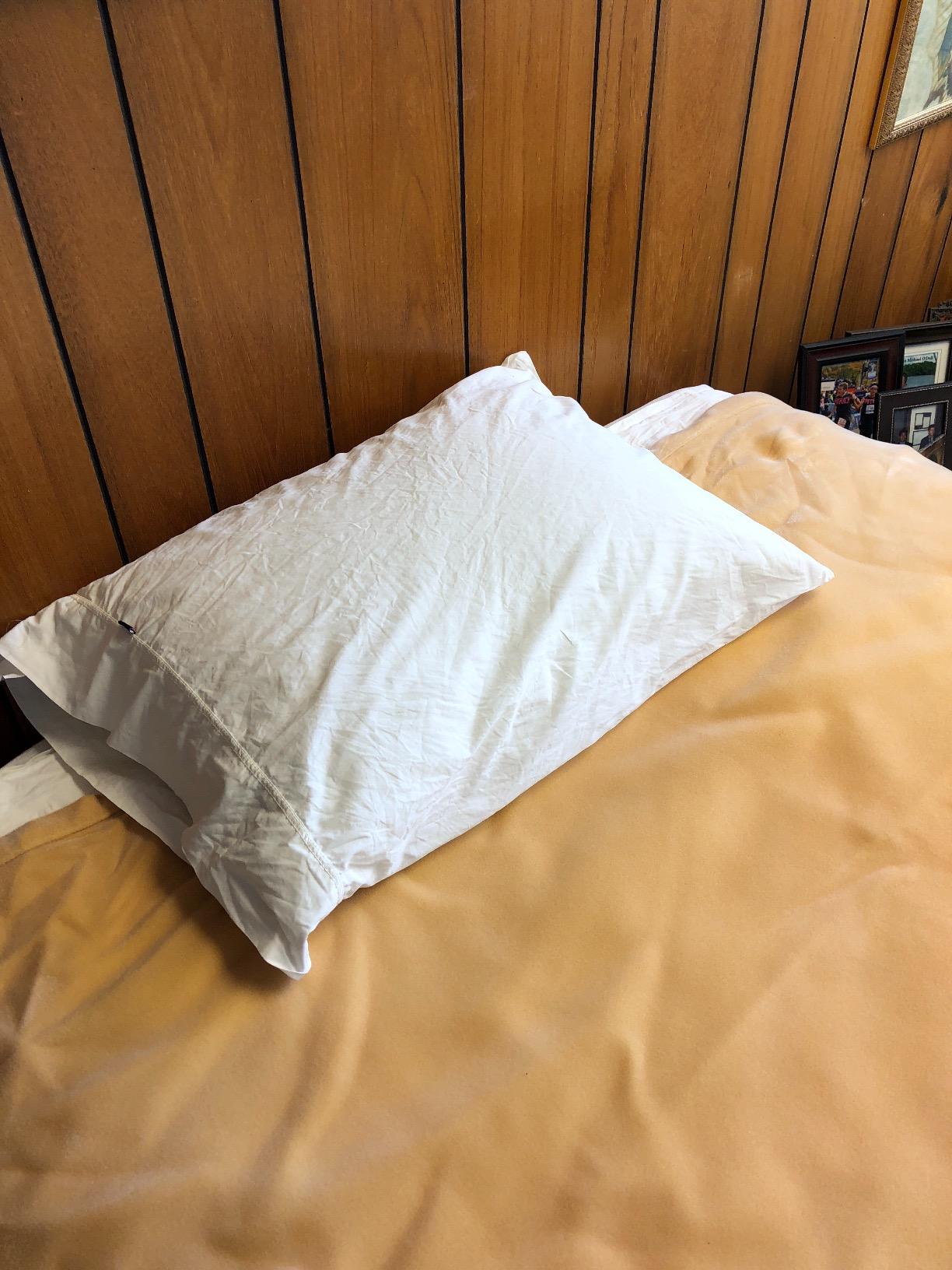 Xtreme Comforts Memory Foam Pillows | GREENGUARD Certified Adjustable Shredded Foam Fill for Personalized Support | Bed Pillows for Side, Back & Stomach Sleepers | Removable Cover | Standard Size customer photo 1