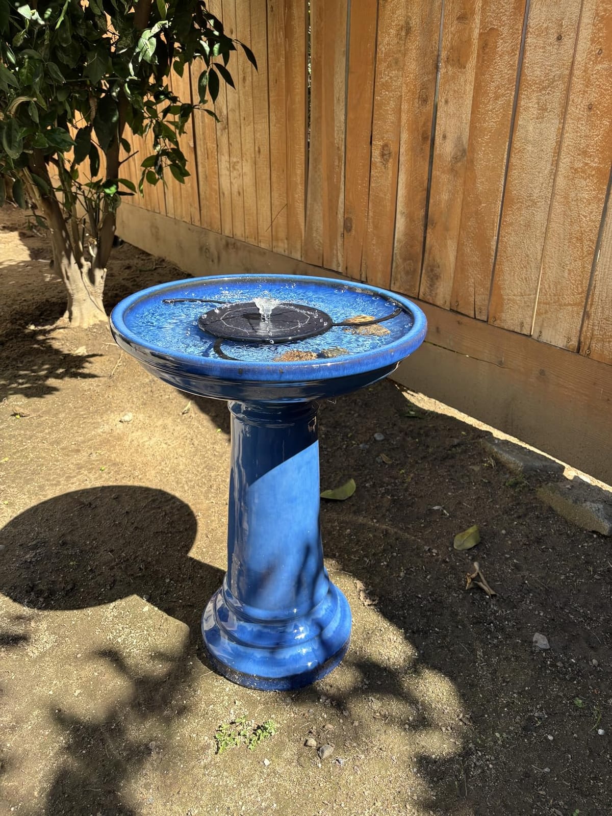 Smart Solar Aviatra Outdoor Ceramic Birdbath with Pedestal Stand and Glossy Finish, Elegant Traditional Birdbath for Garden, Blue customer photo 1