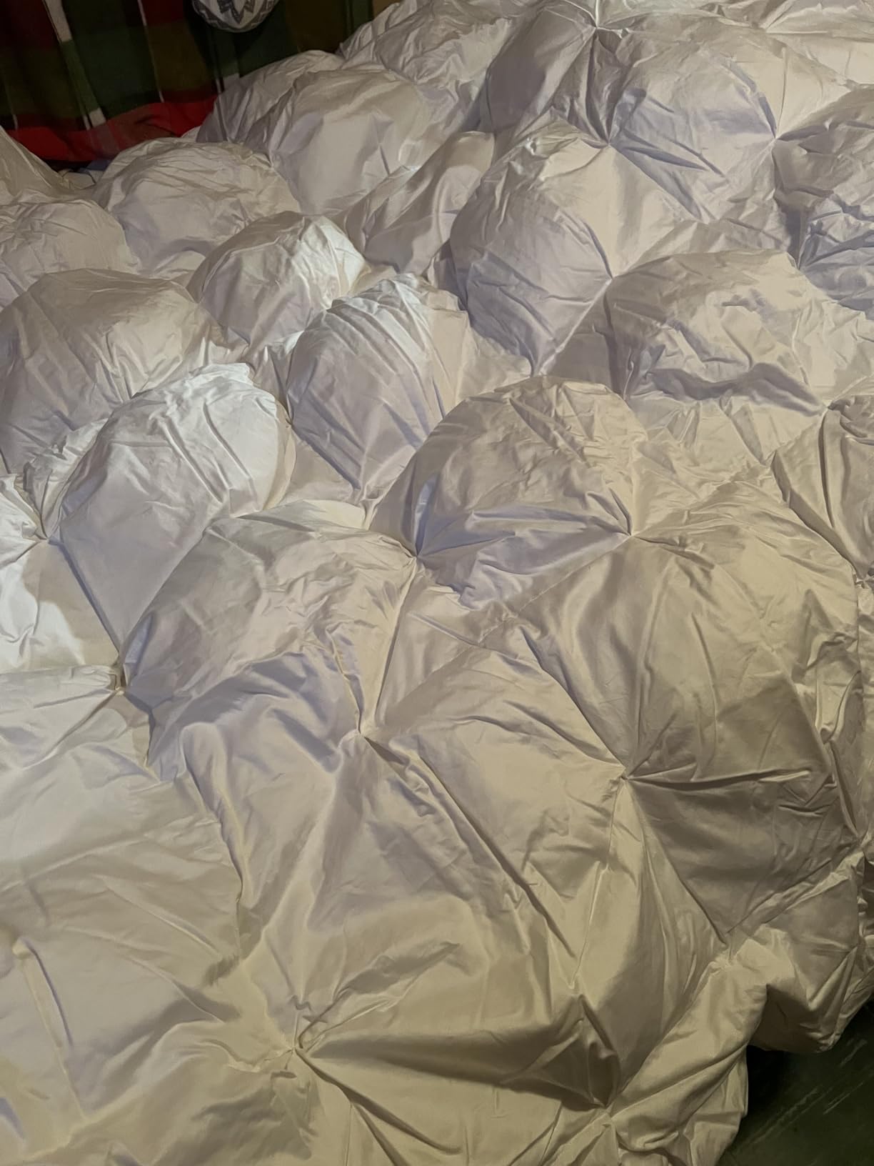 puredown Goose Down Comforter Full/Queen Size 800 Fill Power, 100% Cotton Winter Oversized Duvet Insert 700 Thread Count, Heavyweight Cloud Fluffy Pinch Pleat Extra Warmth customer photo 1