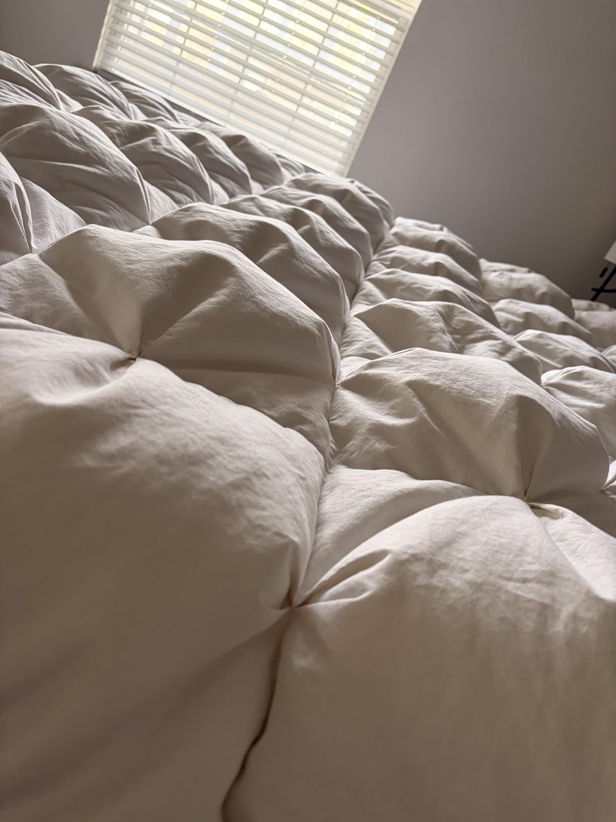 puredown Goose Down Comforter Full/Queen Size 800 Fill Power, 100% Cotton Winter Oversized Duvet Insert 700 Thread Count, Heavyweight Cloud Fluffy Pinch Pleat Extra Warmth customer photo 2
