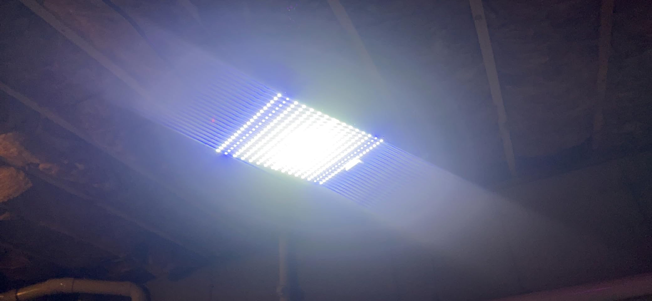 BESTVA DC1000 LED Grow Light, Full Spectrum Grow Lights for Indoor Plants customer photo 1