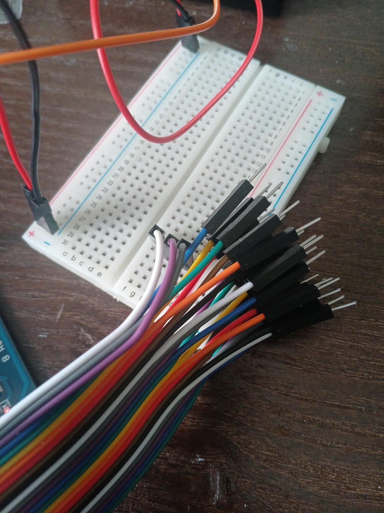 ELEGOO 120pcs Multicolored Dupont Wire M-F, M-M, F-F for Breadboard Jumper | 40pin M-F, 40pin Male to Male, 40pin Female to Female Breadboard Jumper Ribbon Cables Connectors customer photo 1