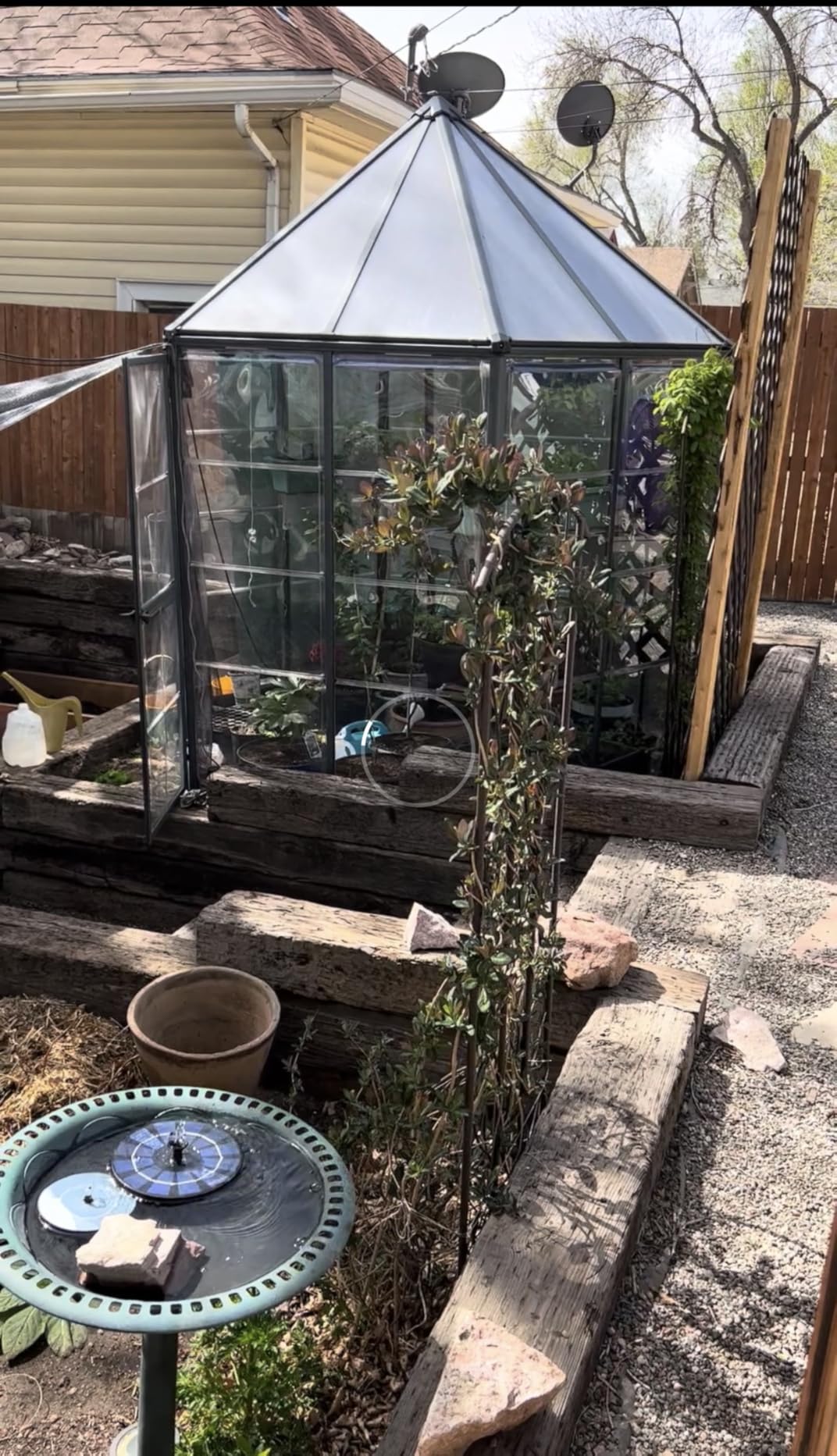 Palram - Canopia Oasis Hex 7' x 8' Polycarbonate Aluminum Greenhouse, Gray customer photo 1