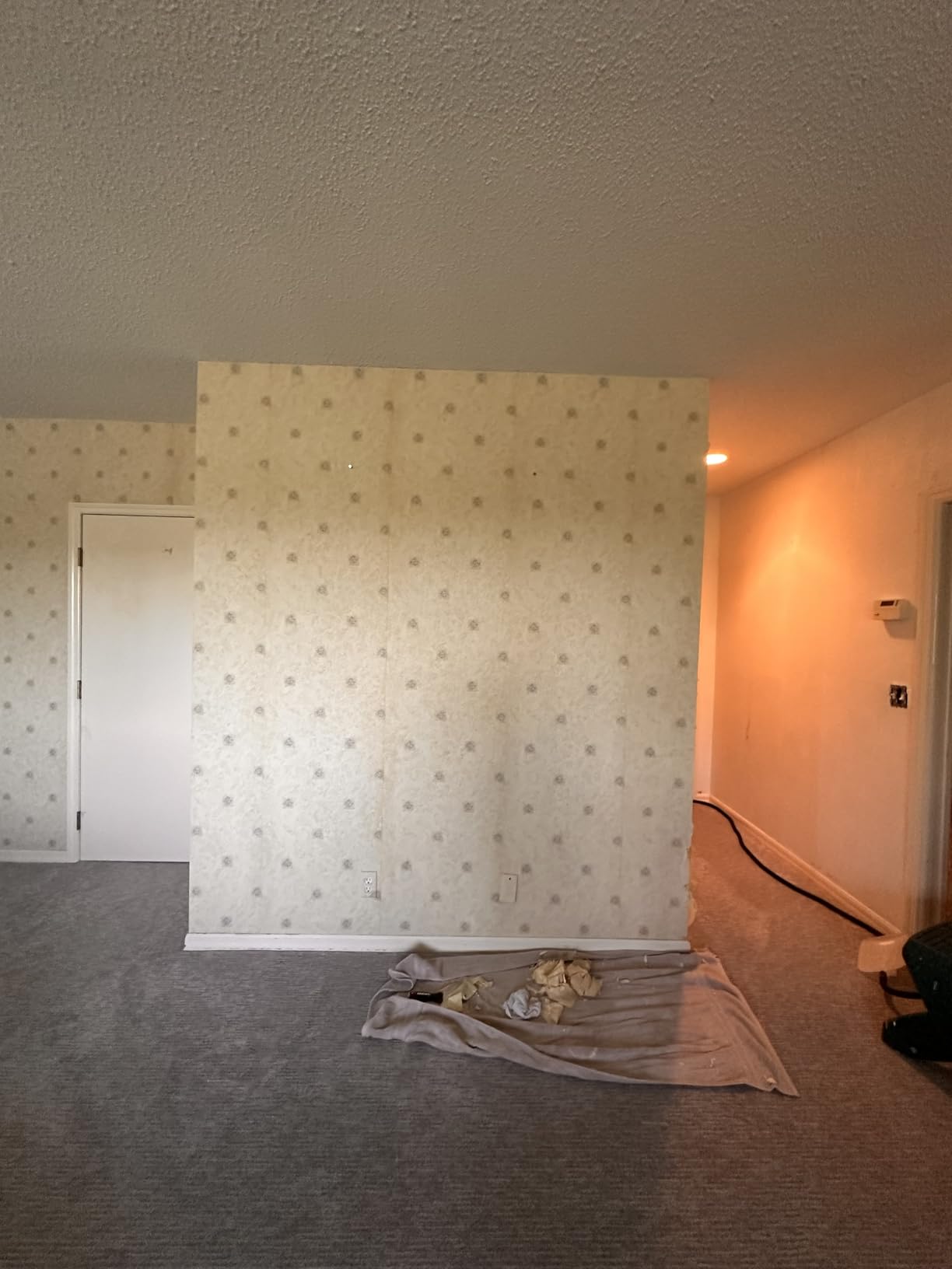 Wagner Spraytech 0282036 715 Power, Chemical Free Remover, Two Steam Plates Included, Long Run Time, Lightweight Design, Wallpaper Steamer customer photo 2