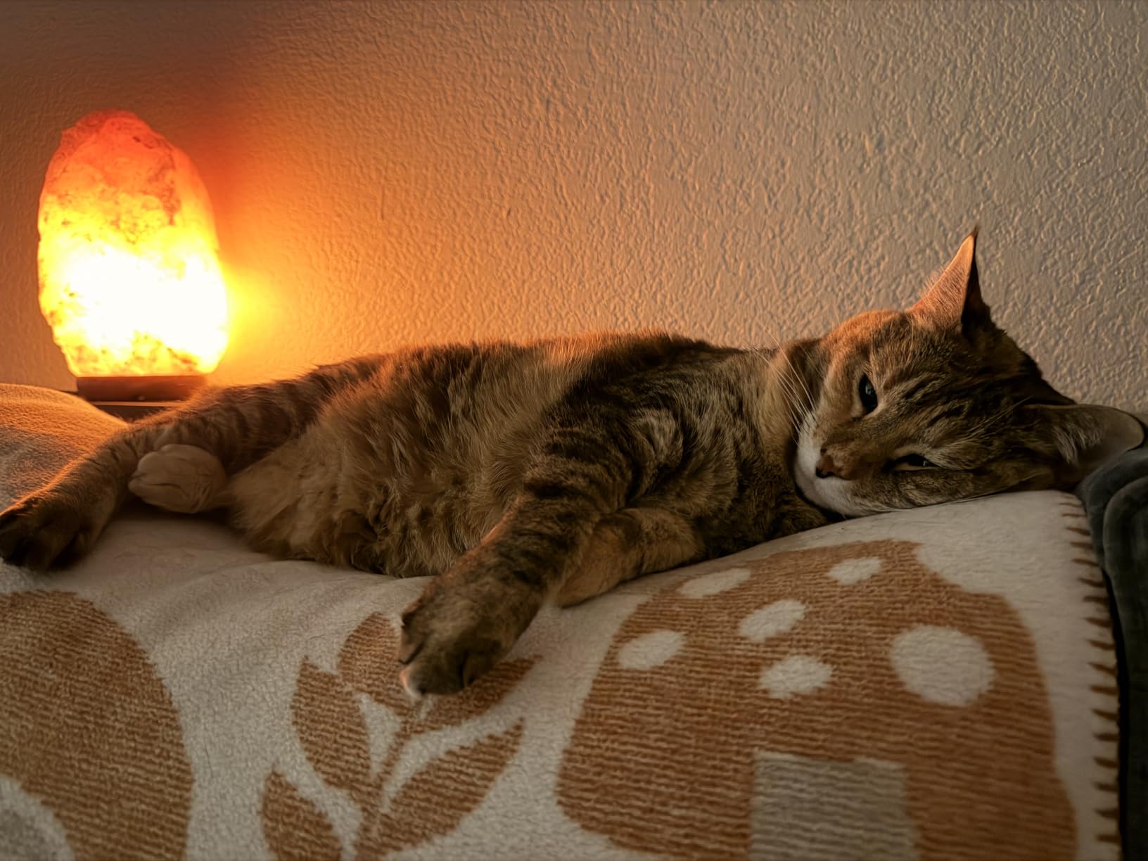 Himalayan Salt Lamp for Bedroom Large 10–12 Inch Pink Salt Rock Lamp with Dimmer, Wooden Base & Spare Bulbs | Calming Ambient Night Light | Thoughtful Wellness Gift for Women, Home, or Office customer photo 1