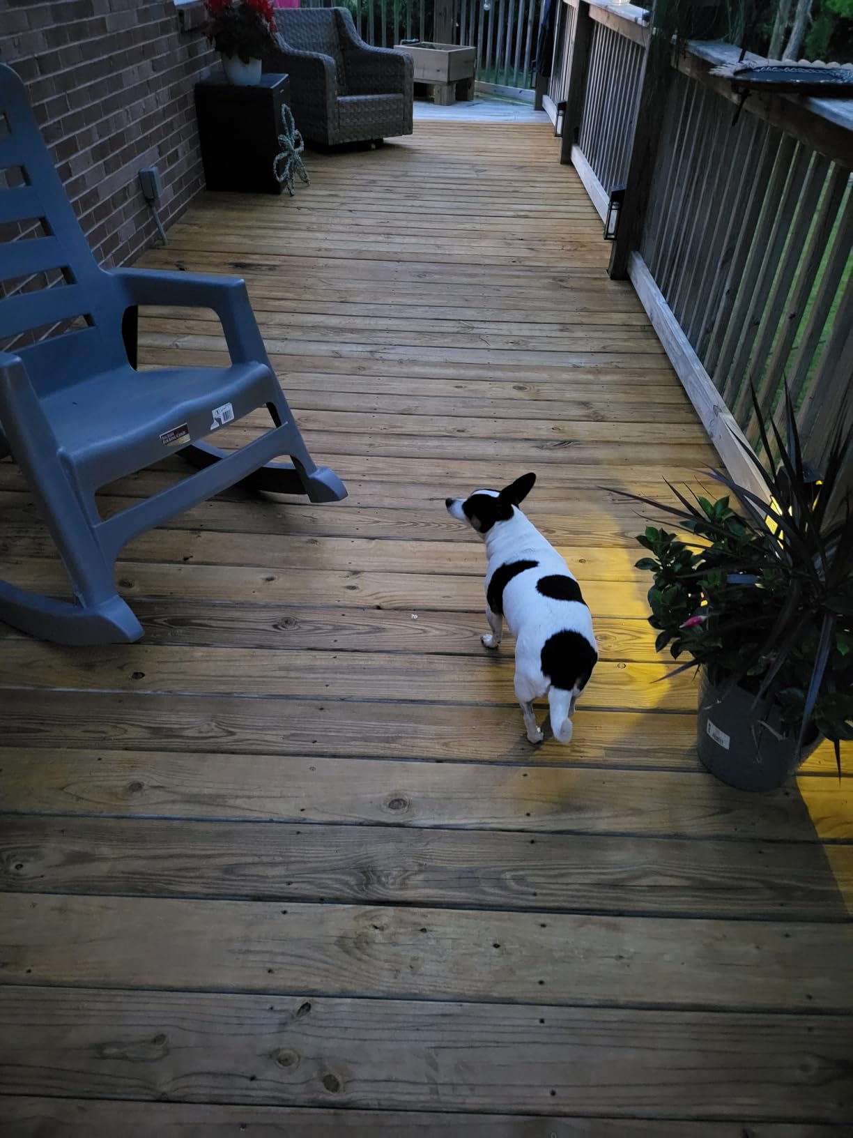 SaverSystems #1 Deck Premium Semi-Transparent Outdoor Wood Stain and Sealer in One - Water Based Wood Stain for Decks, Fences, & Siding - 1 Gallon (Dark Walnut) customer photo 2