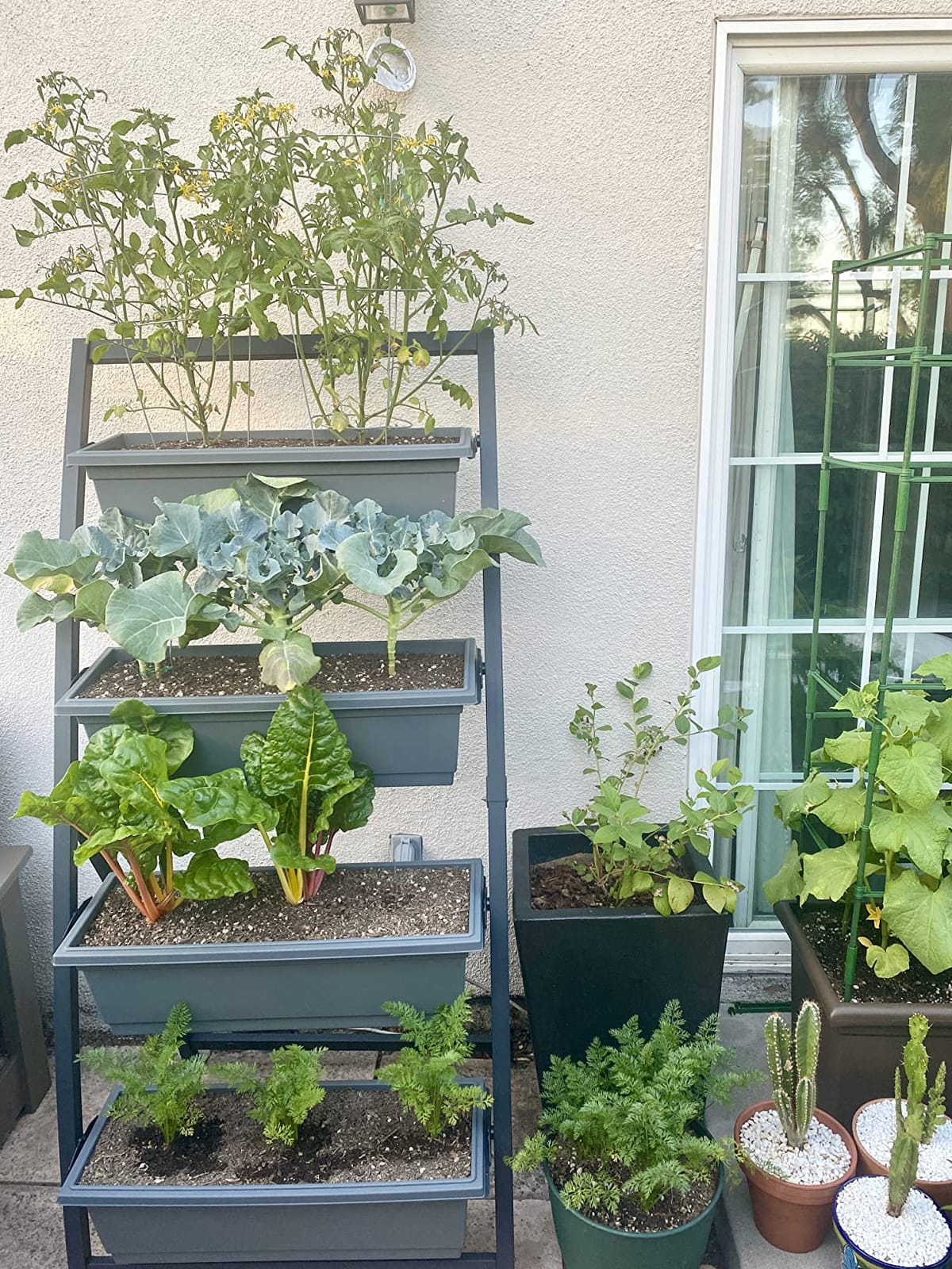 6-Ft Raised Garden Bed - Vertical Garden Freestanding Elevated Planter with 4 Container Boxes - Good for Patio or Balcony Indoor and Outdoor - Perfect to Grow Vegetables Herbs Flowers customer photo 1