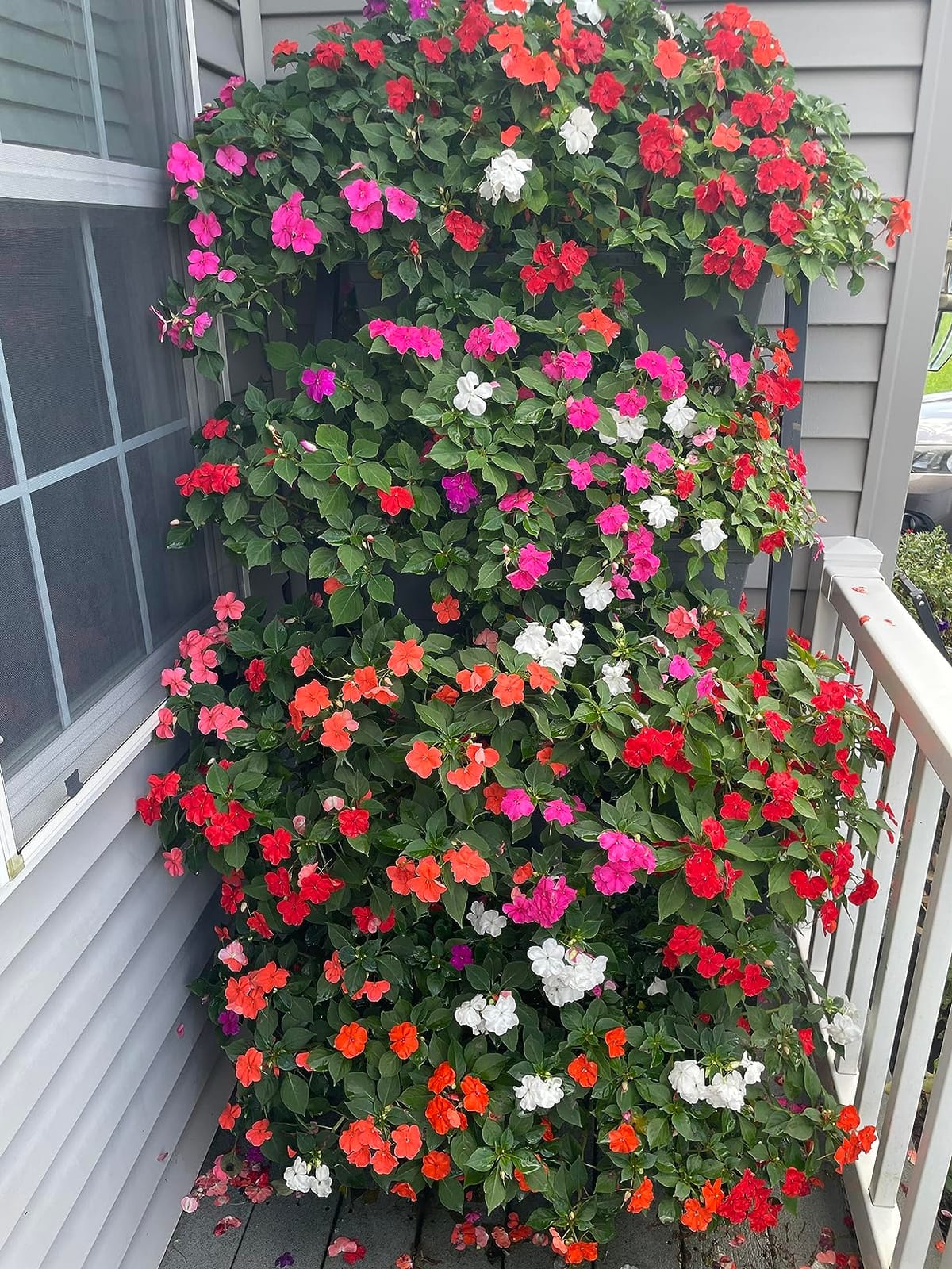 6-Ft Raised Garden Bed - Vertical Garden Freestanding Elevated Planter with 4 Container Boxes - Good for Patio or Balcony Indoor and Outdoor - Perfect to Grow Vegetables Herbs Flowers customer photo 2