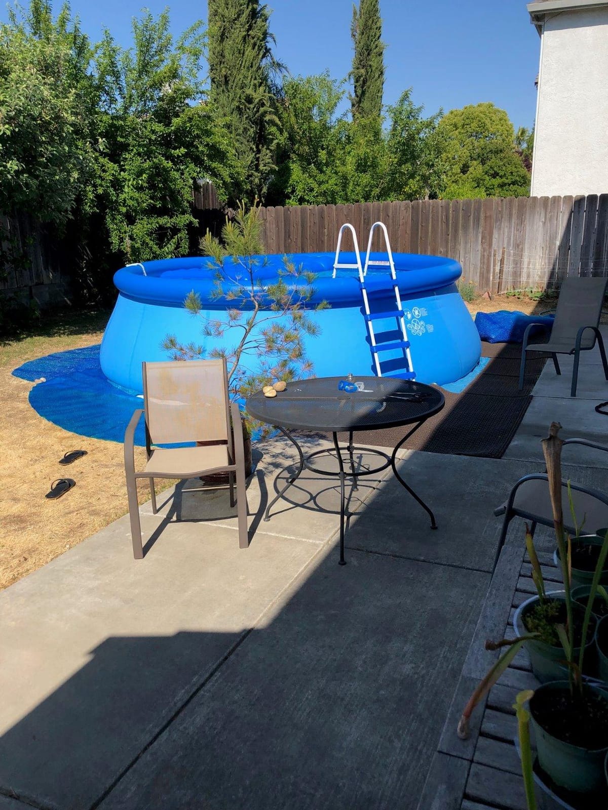 INTEX Easy Set 15 ft x 48in Inflatable Ring Above Ground Pool Set w/Pump | 26167EH - 1000 GPH Cartridge Filter Pump, Ladder, Pool Cover & Ground Cloth Included customer photo 1