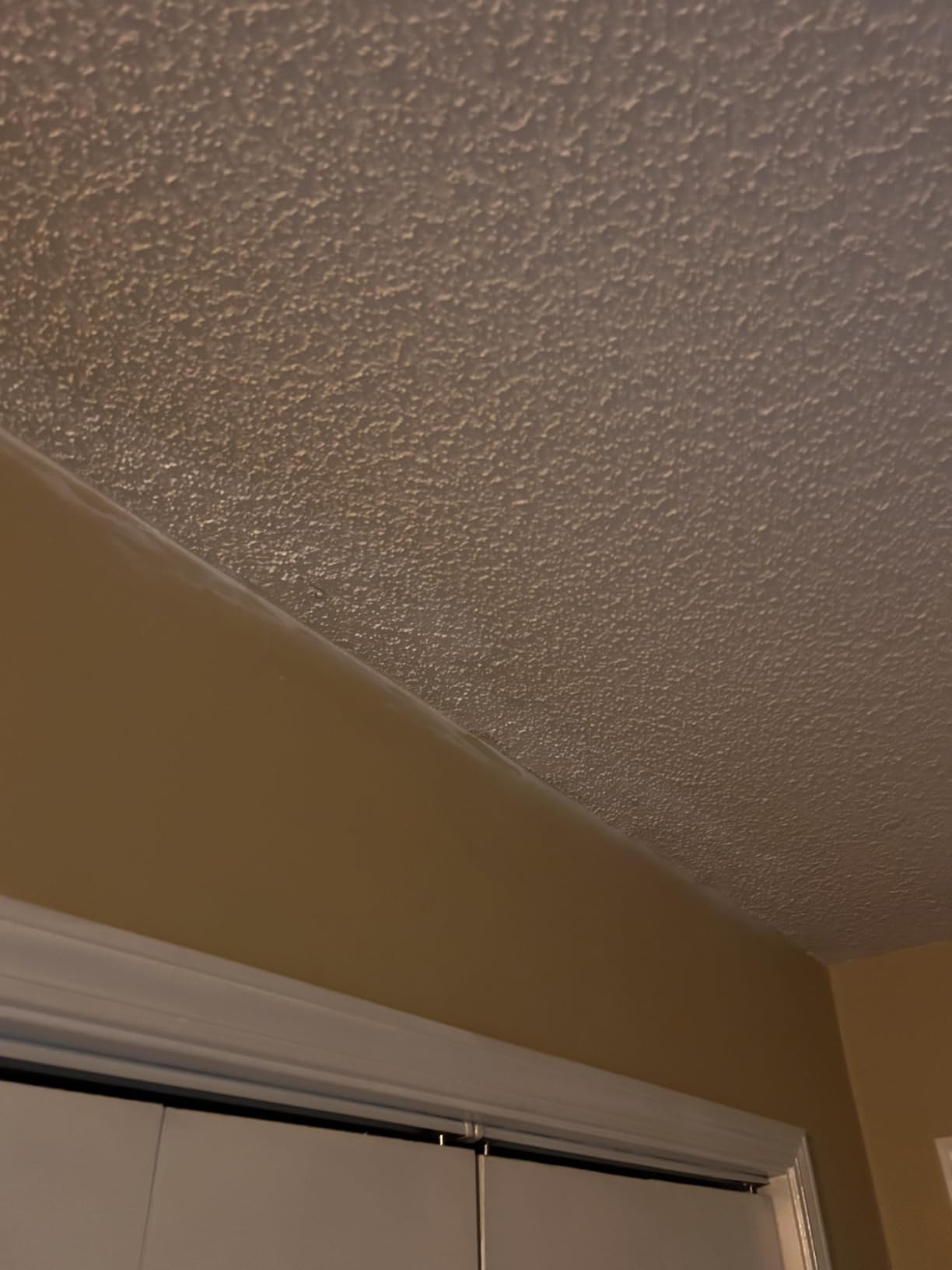 Zinsser Ceiling Acrylic Paint & Primer in One, 13 oz, Flat White customer photo 1