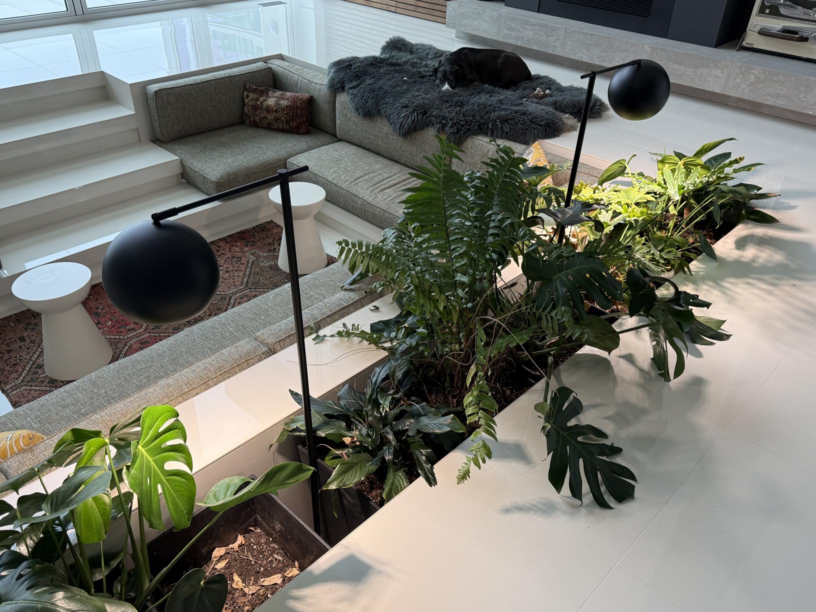 SANSI Grow Lights for Indoor Plants, 36W Plant Lights for Indoor Growing customer photo 2