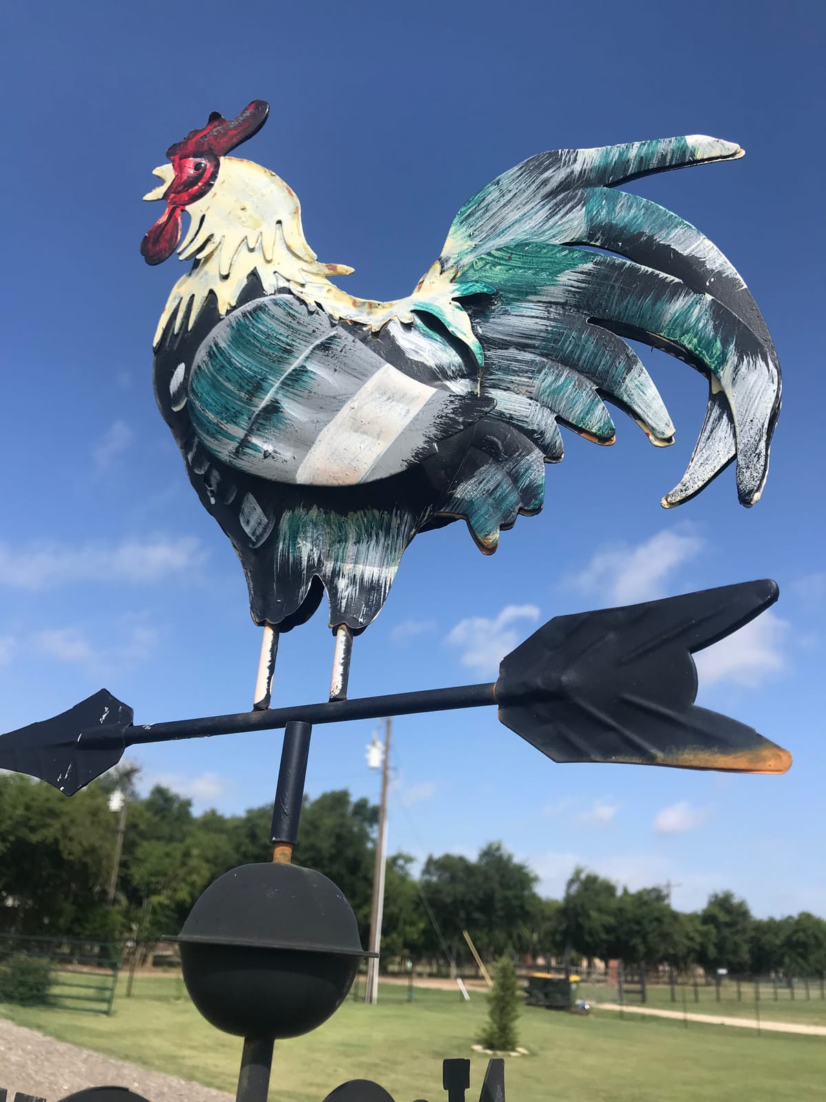 48 in. Metal Weather Vane for Garden Decor Farmhouse Decorative with Rooster Ornament Wind Vane Weathervanes customer photo 1