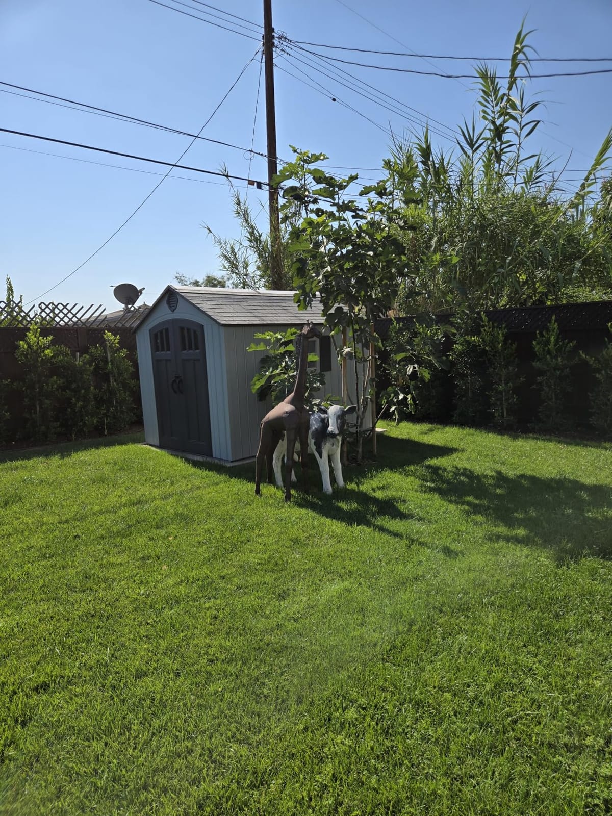 Lifetime 8 x 10 Ft Outdoor Storage Shed, Dual-Wall HDPE Construction, Steel-Reinforced, Skylight and Window, Lockable Doors, UV-Protected Gray Finish customer photo 2