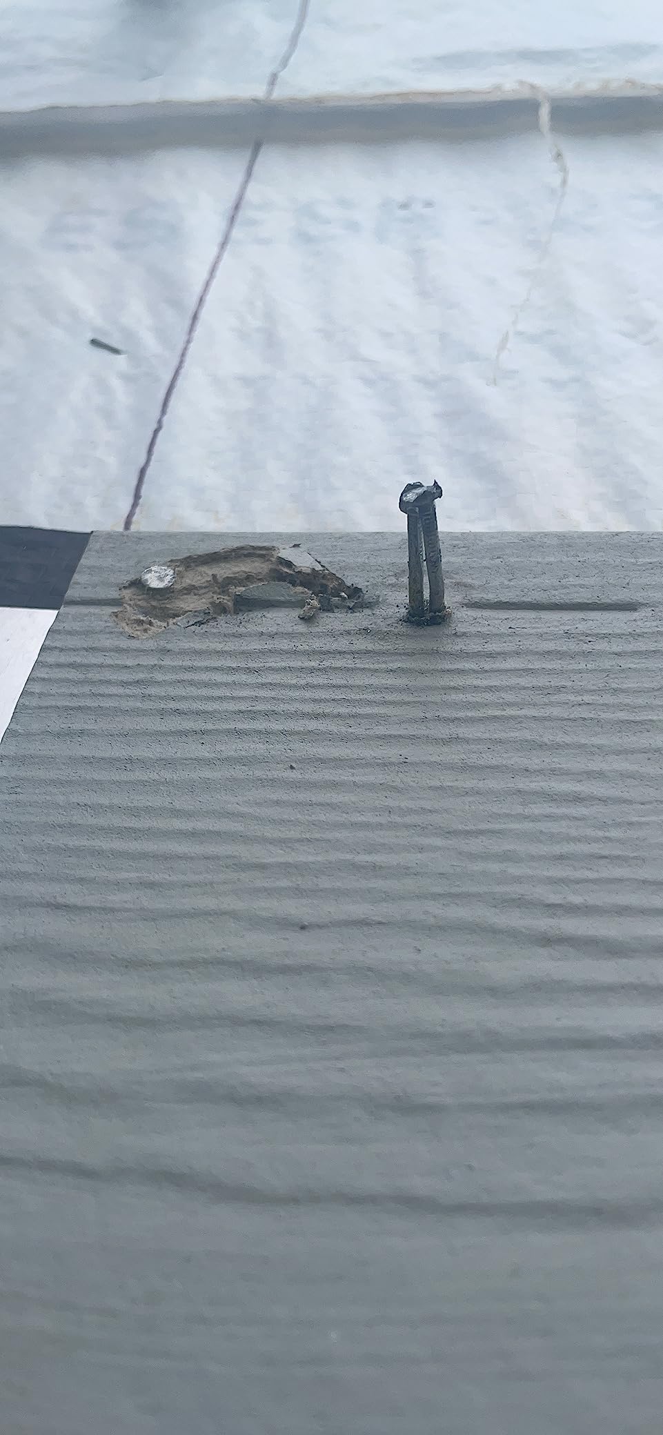 Metabo HPT Coil Siding Nailer, Pneumatic Plastic Collated Nails, NV65AH2 | Sheathing, Decking, Fencing Applications, 15-Degree and 16-Degree Wire Angle Formats, Pro-Grade Power Nailers customer photo 1