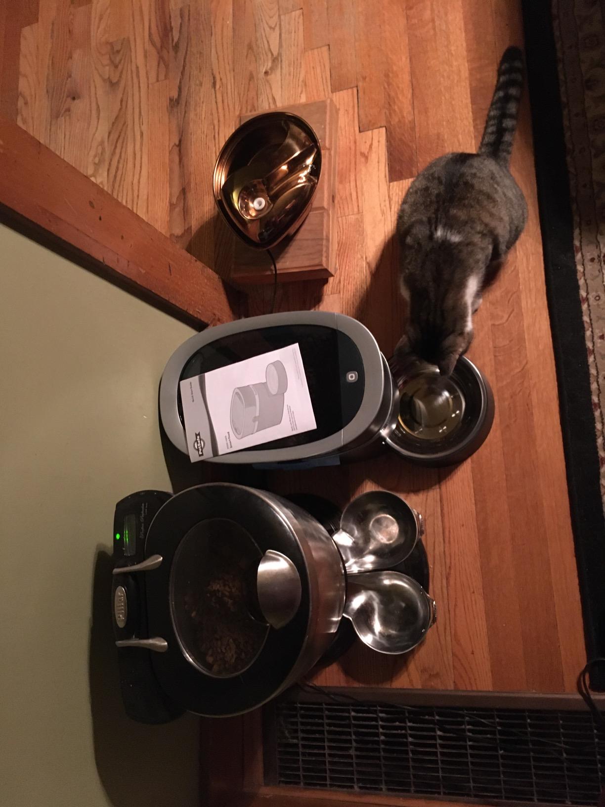 PetSafe Smart Feed Automatic Pet Feeder, 6L/24 Cup, Programmable | Alexa Enabled for Snack Feeding, App Alerts When Low/Empty, Slow Feed Setting, Backup Batteries Keep Meals on Schedule customer photo 1