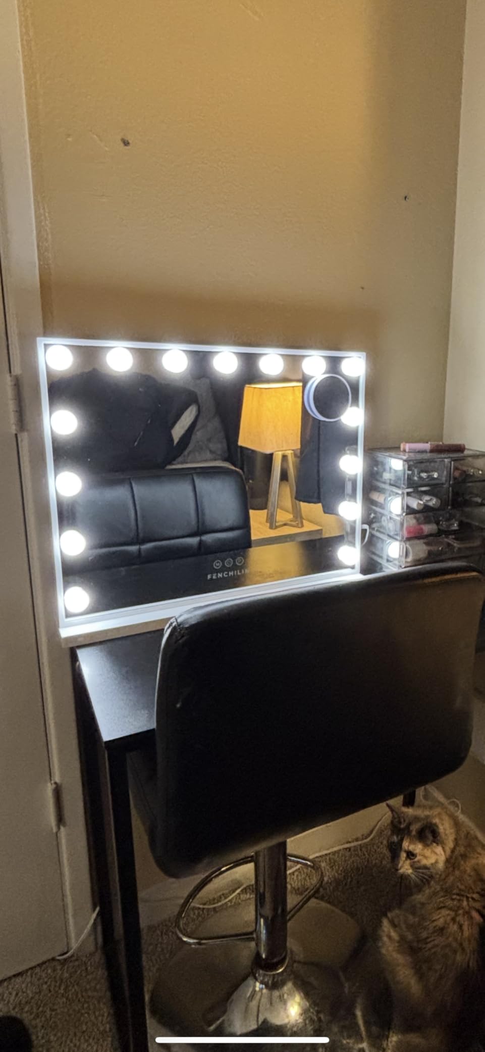 FENCHILIN Vanity Mirror with Lights, Hollywood Lighted Makeup Mirror with 15 Dimmable LED Bulbs for Dressing Room & Bedroom, Slim Metal Frame Design, Tabletop White customer photo 2