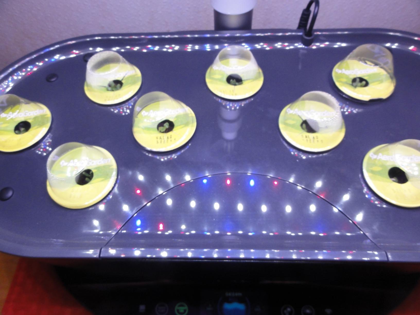 AeroGarden Bounty, White | Indoor Garden with LED Grow Light, WiFi and Alexa Compatible customer photo 1