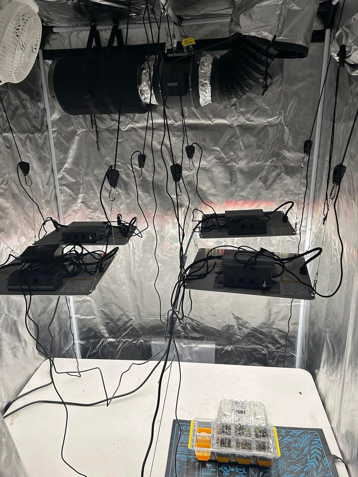 Spider Farmer SF2000 LED Grow Lights for Indoor Plants in 2x4 Grow Tent customer photo 2