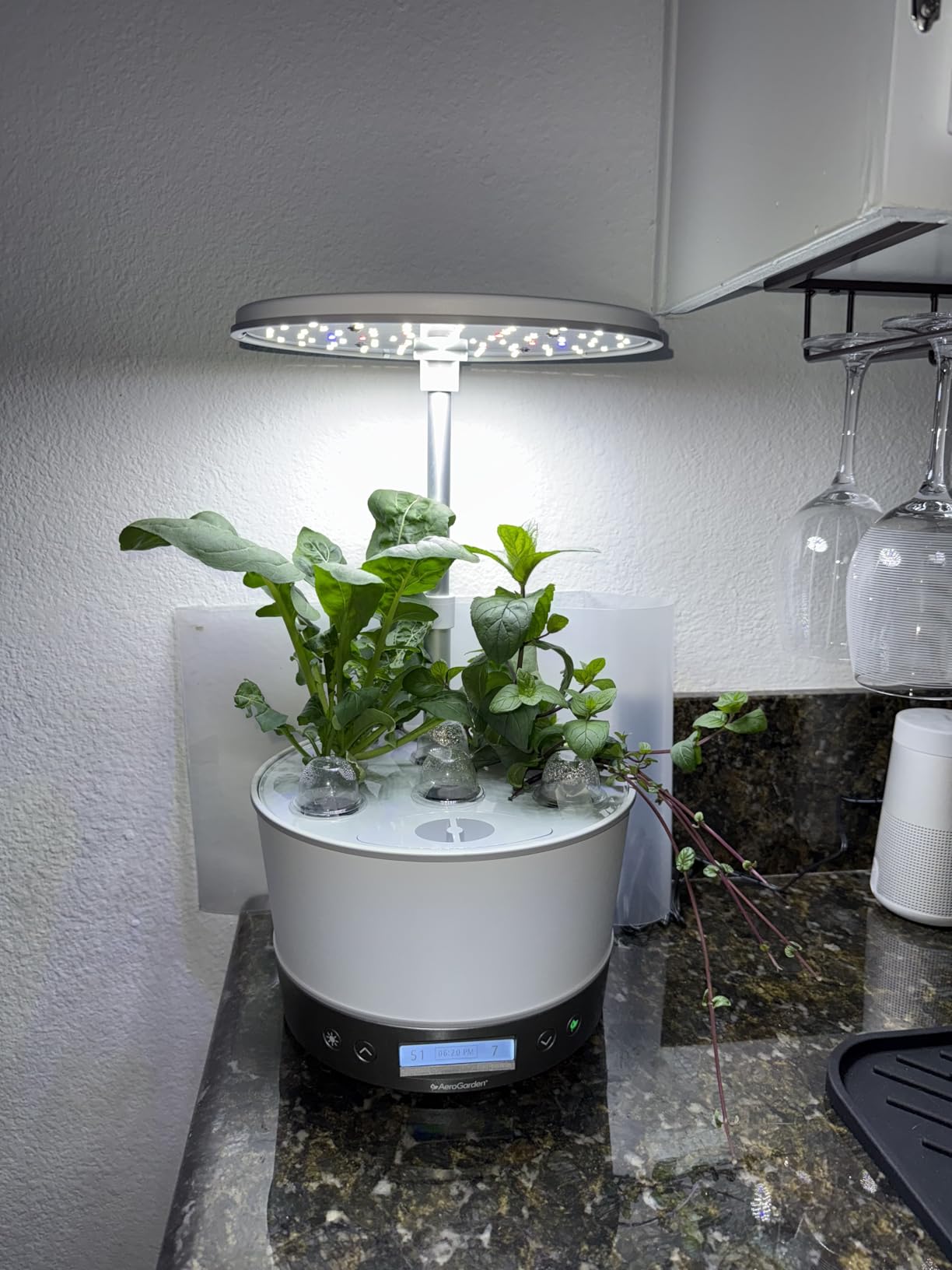 AeroGarden Harvest Elite 360, White Stainless | Indoor Garden with LED Grow Light and a Seed Pod Kit customer photo 1