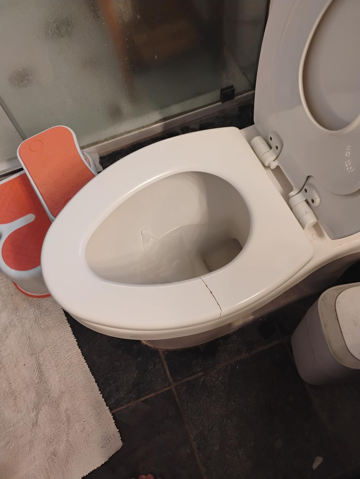 Mayfair NextStep2 Toilet Seat with Built-In Potty Training Seat, Slow-Close, Removable, Elongated, White customer photo 1