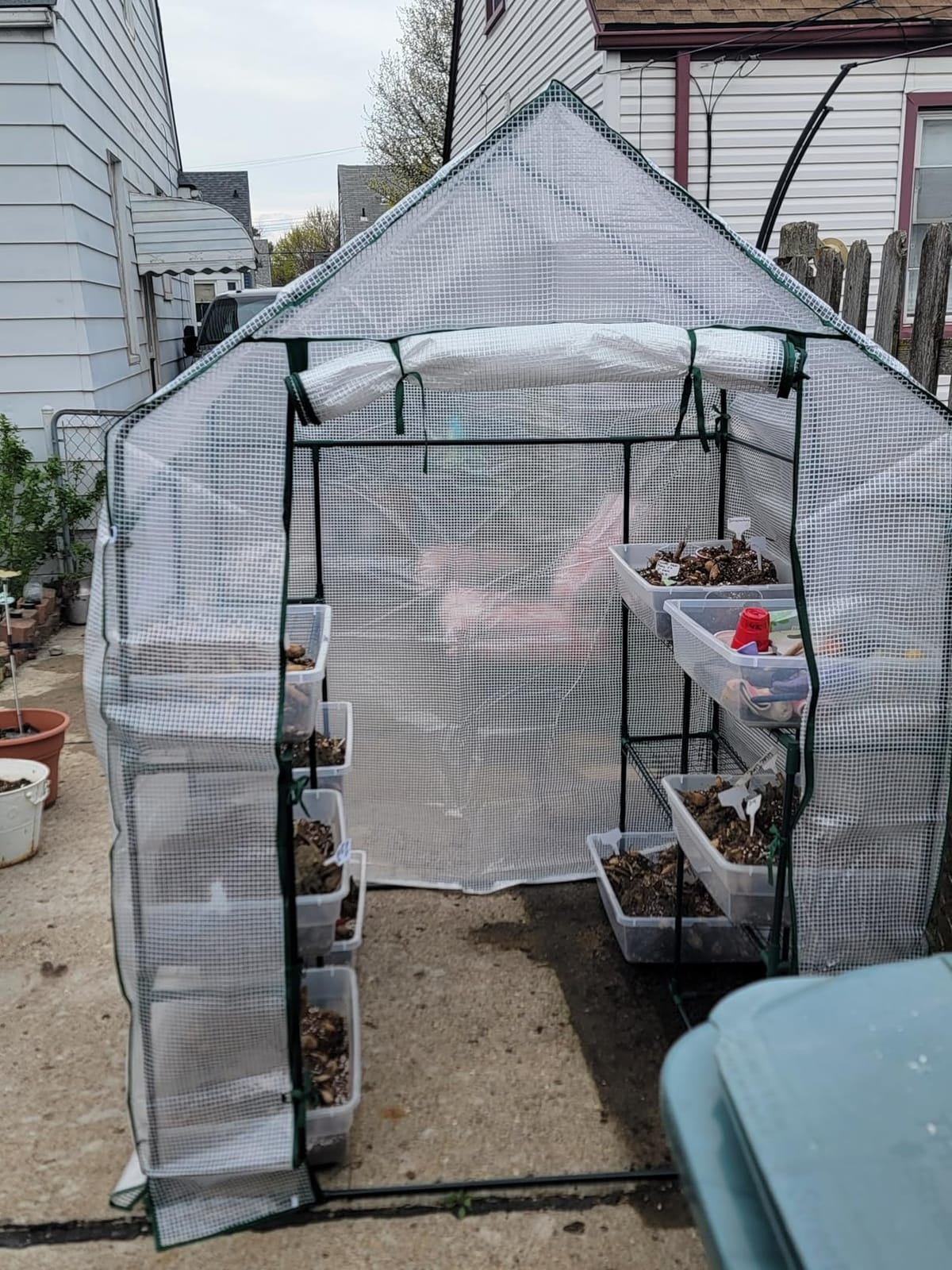 56x30x76 Mini Walk-in Greenhouse, Portable Plant House with 3-Tier Shelves, PE Cover, Roll-Up Door, Steel Frame customer photo 2