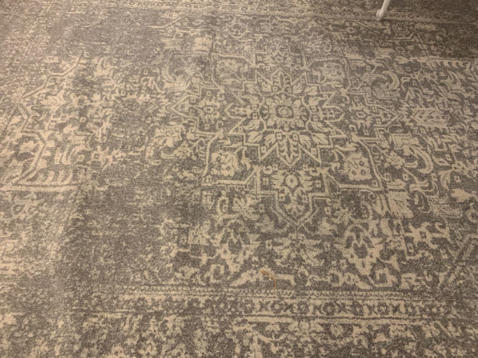 SAFAVIEH Evoke Area Rug 9x12, Large Ivory & Taupe EVK256E | 3/8