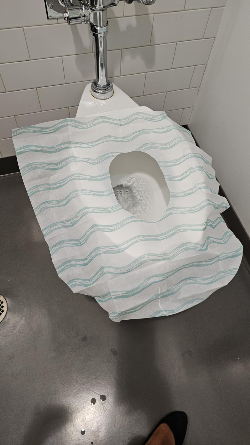 Relyo Disposable Toilet Seat Cover for Travel - 20 Pack, Non-Flushable Liners, Fits Most Seats, Kids, Toddlers, Adults customer photo 1