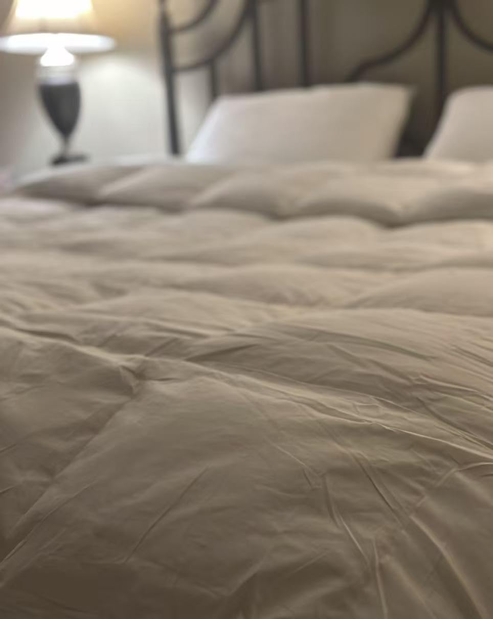 Globon Goose Down Comforter King Size, 800 Fill Power, All Season, White | Luxury Goose Down Duvet Insert, Medium Weight, Ultra Soft 420 Thread Count Noiseless Shell, 8 Corner Tabs, 106x90inches customer photo 2