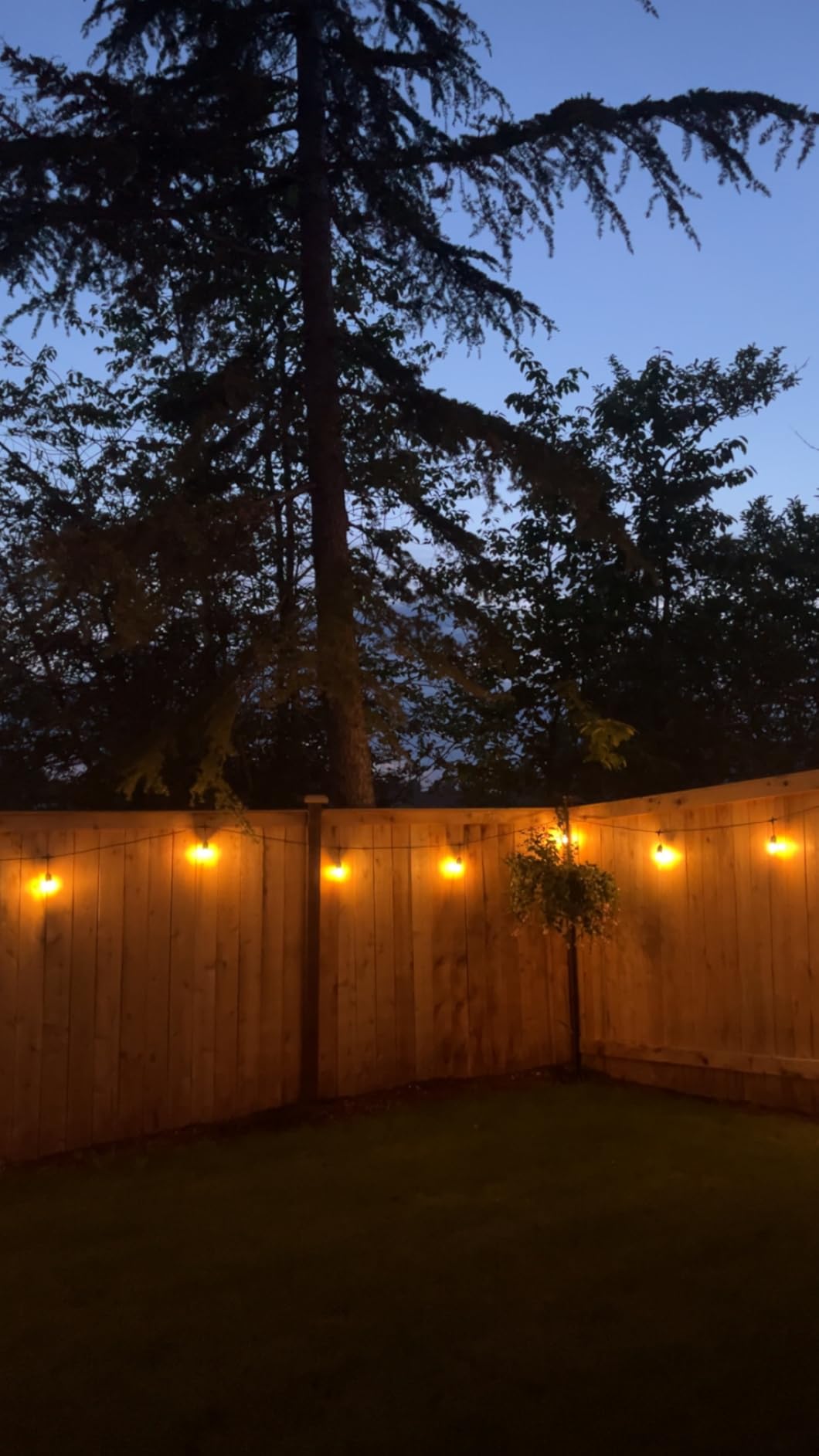 Svater Outdoor String Lights 105 FT Outside Waterproof Commercial Grade ETL | Patio Lighting with Shatterproof E26 S14 LED Dimmable Edison Bulbs, Hanging Strand for Bistro Cafe Backyard Warm White customer photo 2