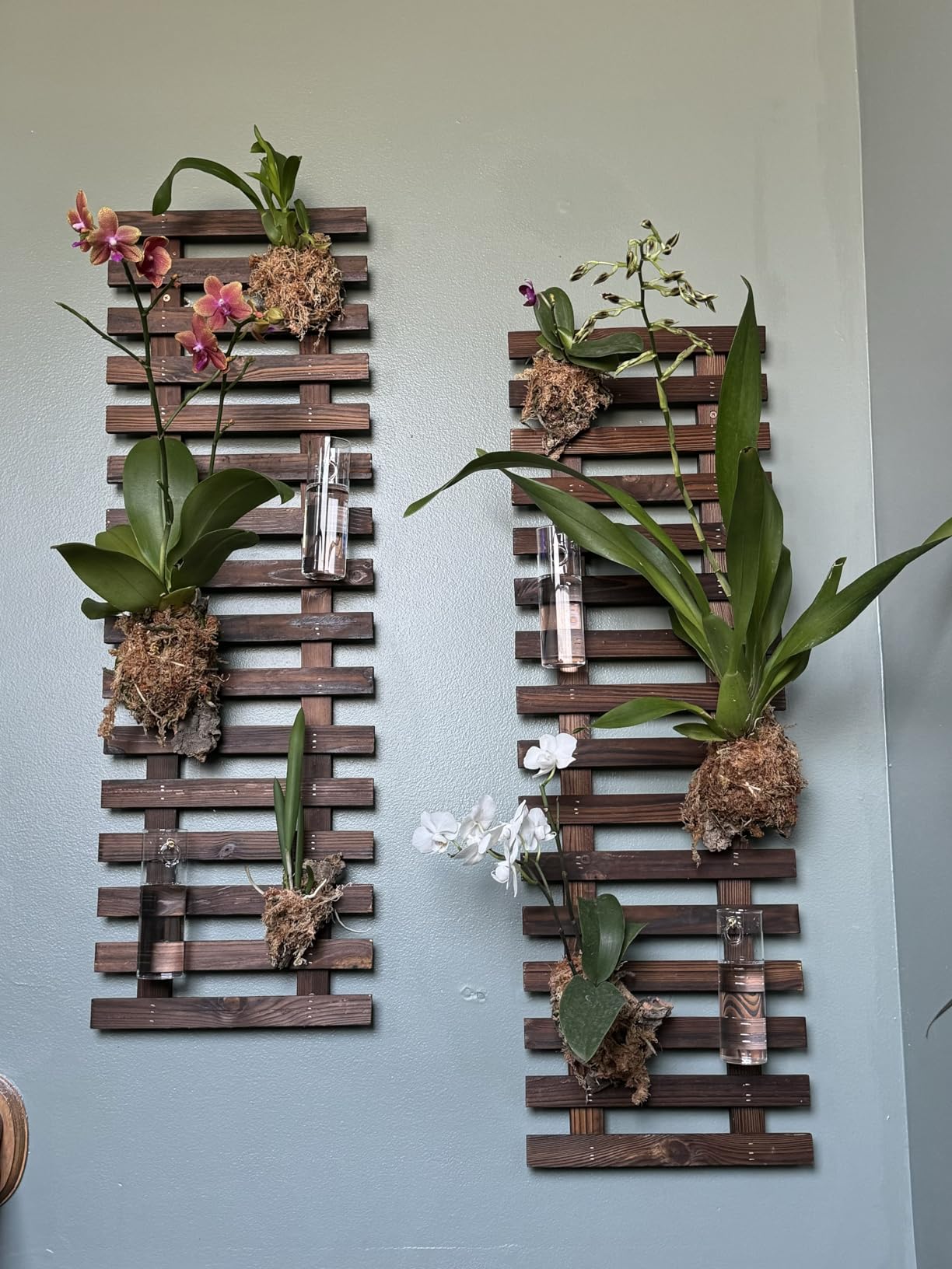 ShopLaLa Wooden Wall Planter (120cm, 2 Pack) Wooden Hanging Flower Plants customer photo 2