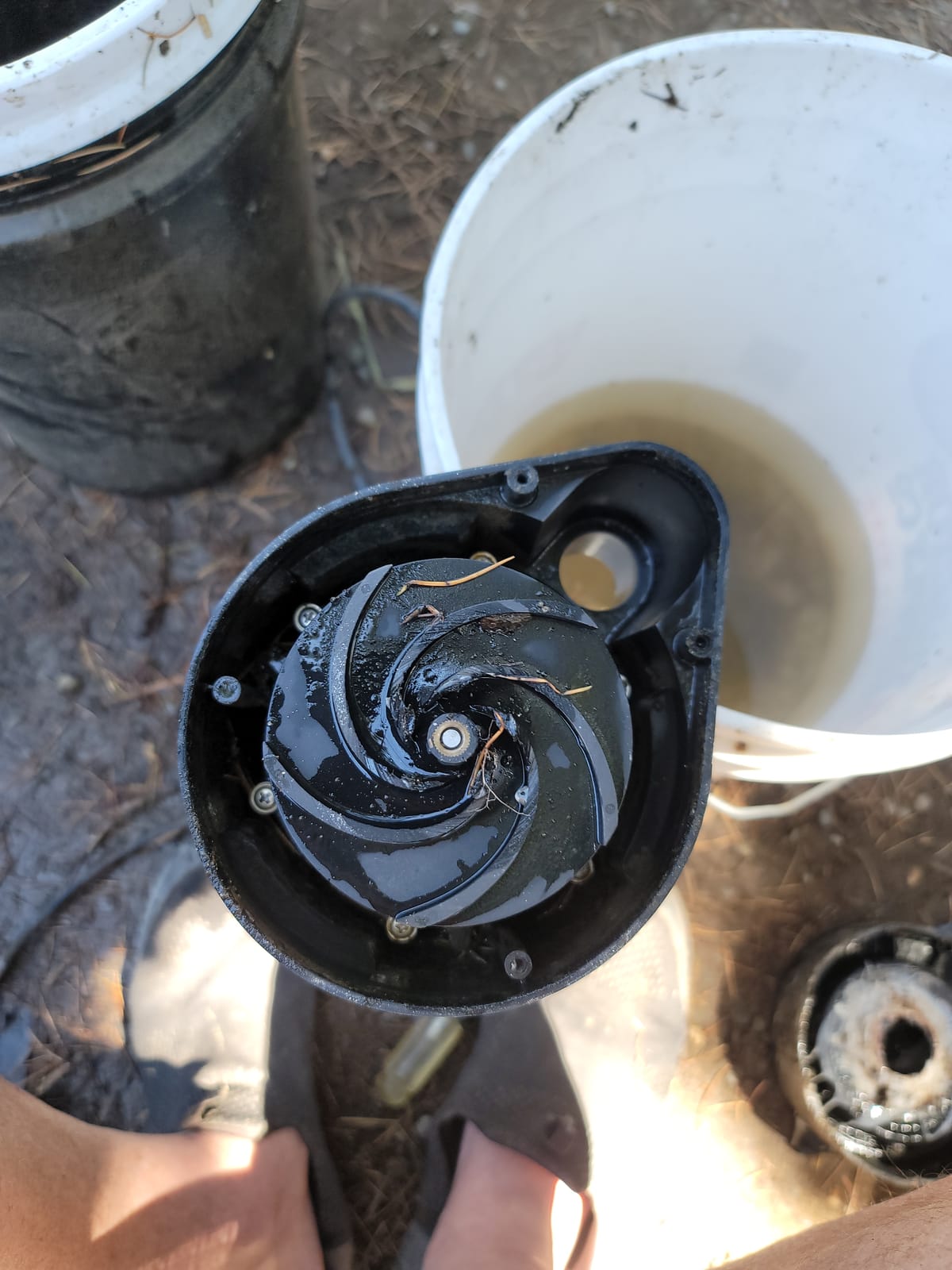 Superior Pump 91014 1/4 HP High Flow Thermoplastic Utility Pump, Black customer photo 1