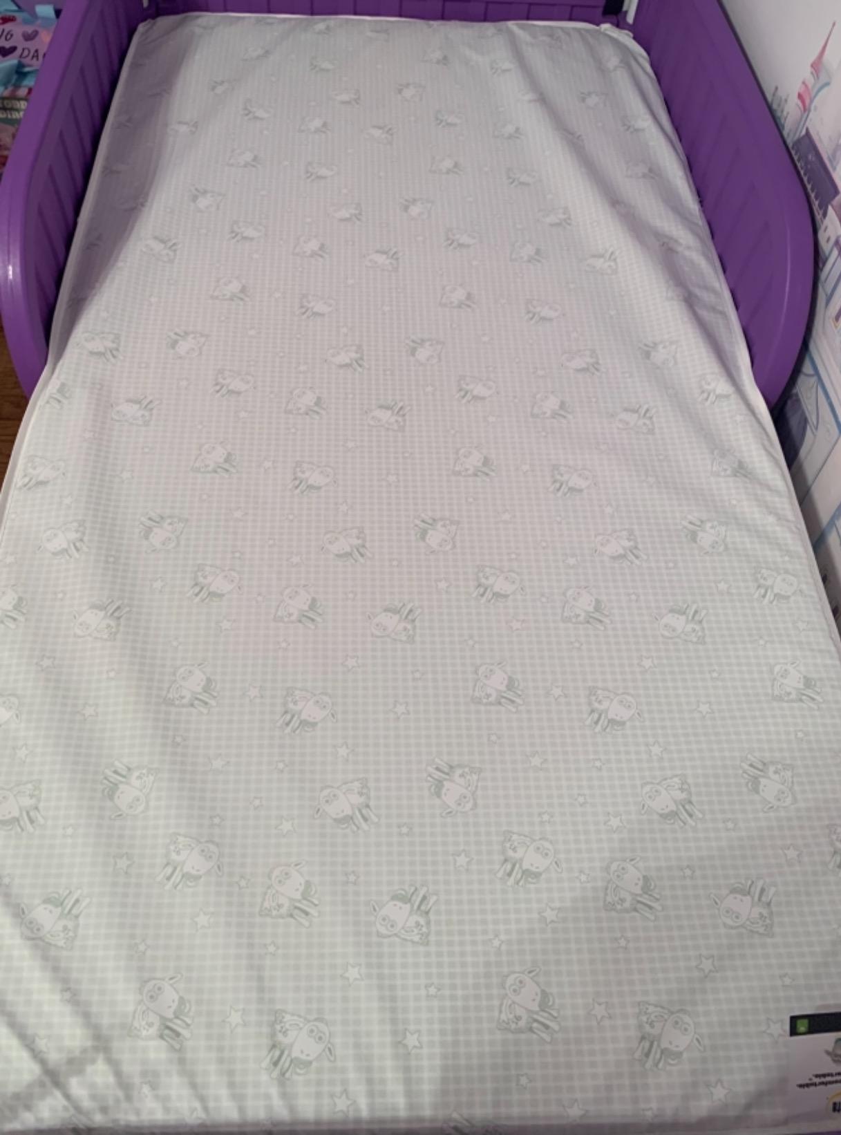 Serta Perfect Slumber Dual Sided Crib and Toddler Mattress - Waterproof - GREENGUARD Gold Certified customer photo 1
