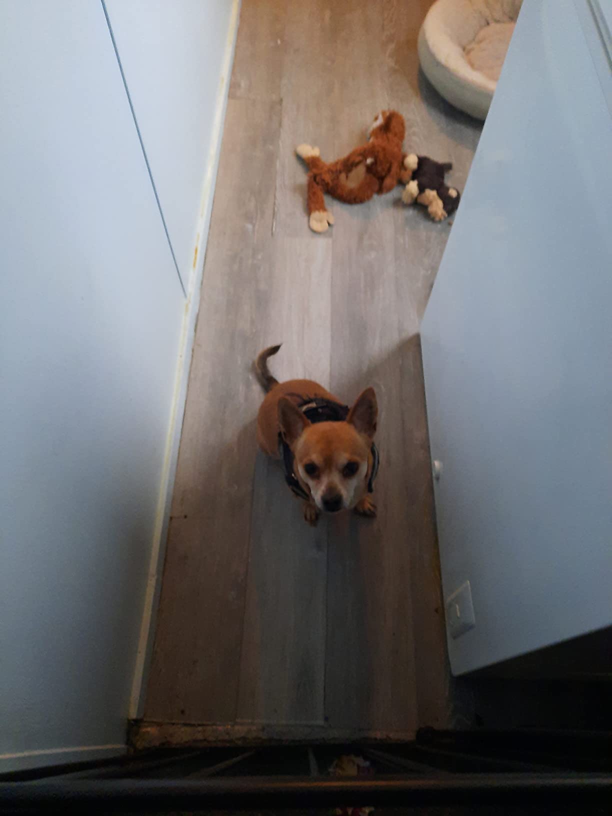 MSI Luxury Vinyl Plank Flooring | Hampstead Brown Hickory | 6
