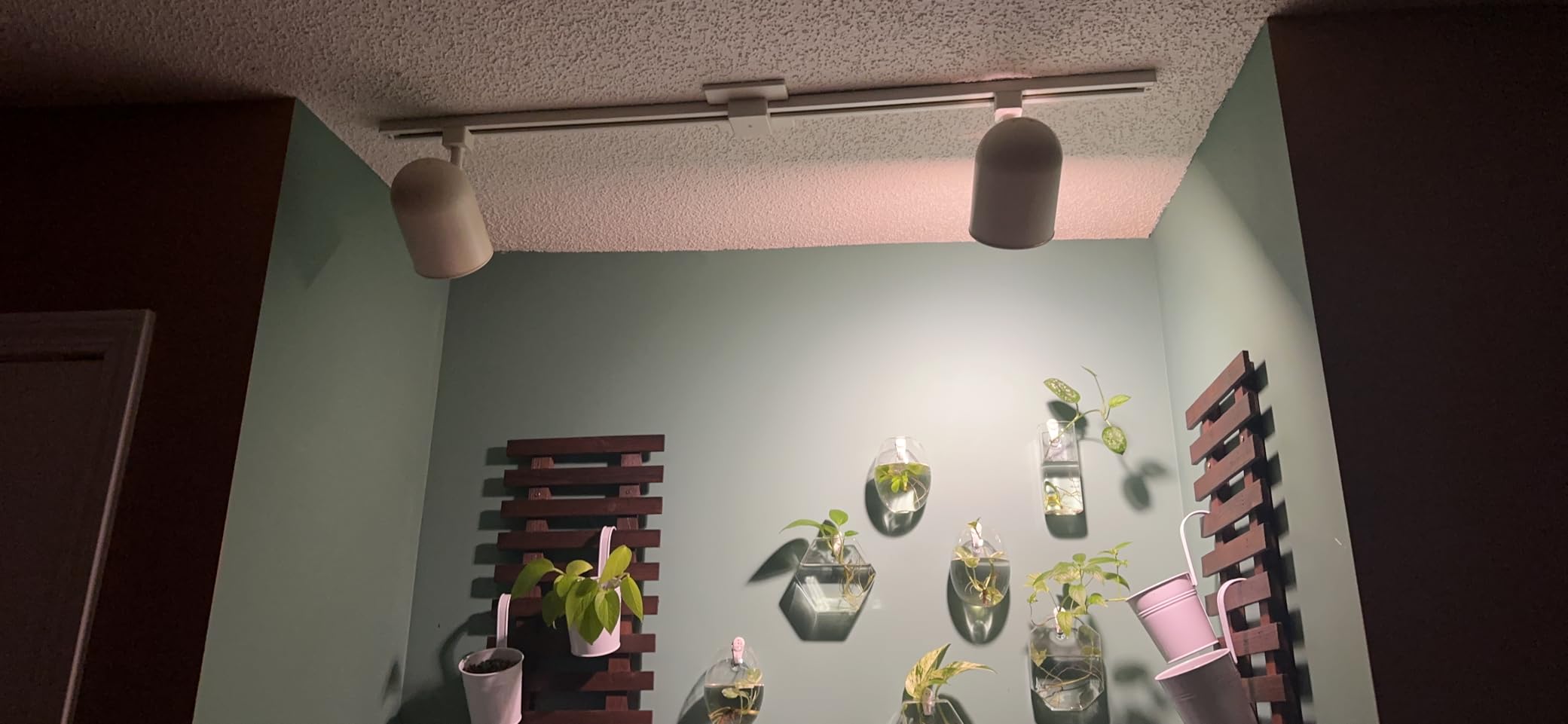 Briignite LED Grow Light Bulb A19 Full Spectrum, 11W E26 Base, 100W Equivalent, 2 Pack customer photo 2
