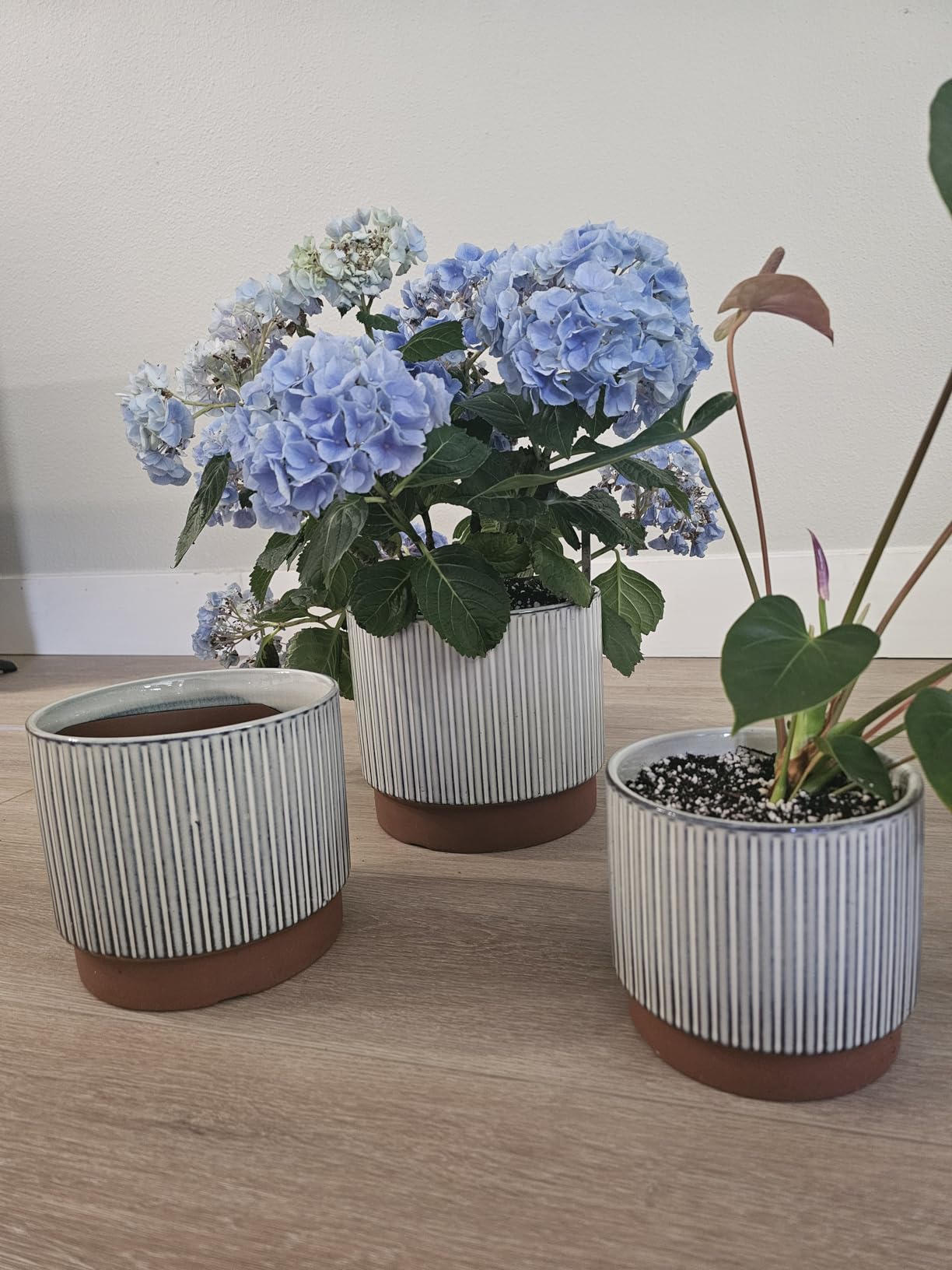 LE TAUCI Ceramic Plant Pots with Drainage Holes, Set of 3, 8+6.7+5.5 Inch Stripe Garden Planter Pots for Outdoor Indoor Plants Flower, Round Succulent Orchid Flower Pot, Reactive Glaze Green customer photo 1