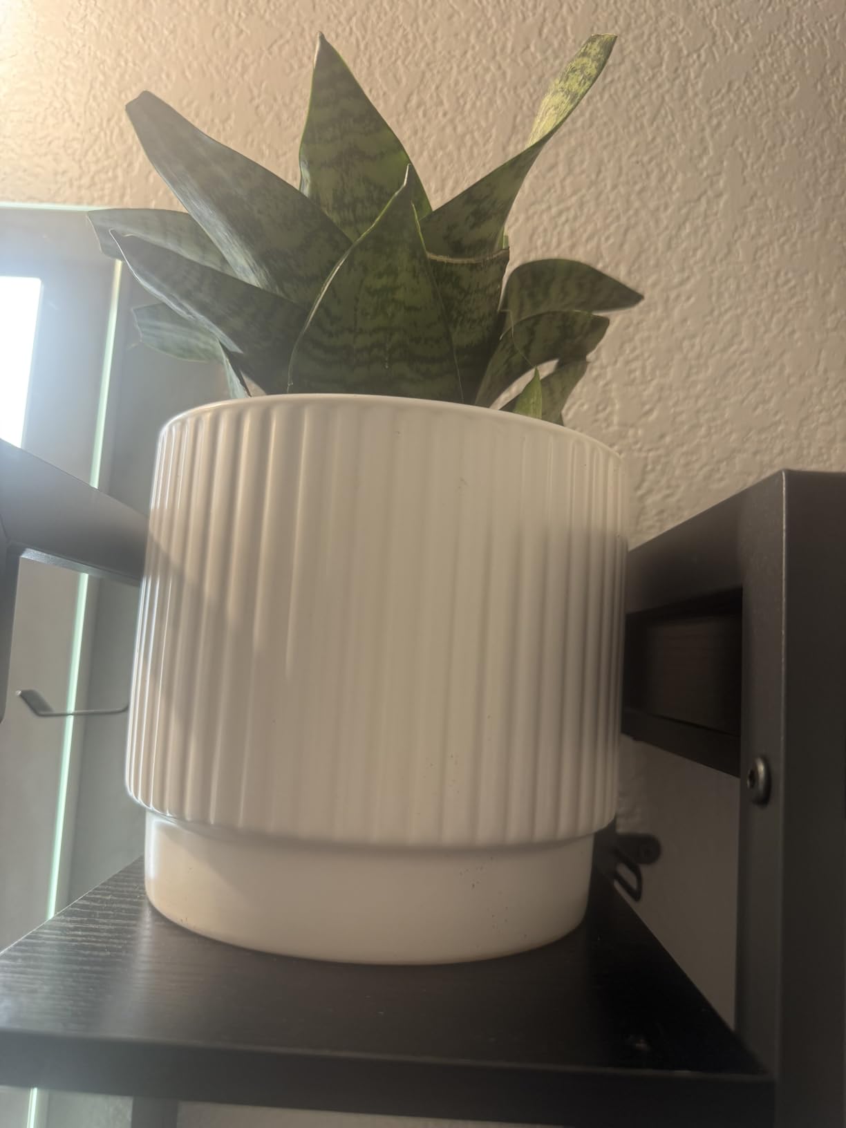 LE TAUCI Ceramic Plant Pots with Drainage Holes, Set of 3, 8+6.7+5.5 Inch Stripe Garden Planter Pots for Outdoor Indoor Plants Flower, Round Succulent Orchid Flower Pot, Reactive Glaze Green customer photo 2