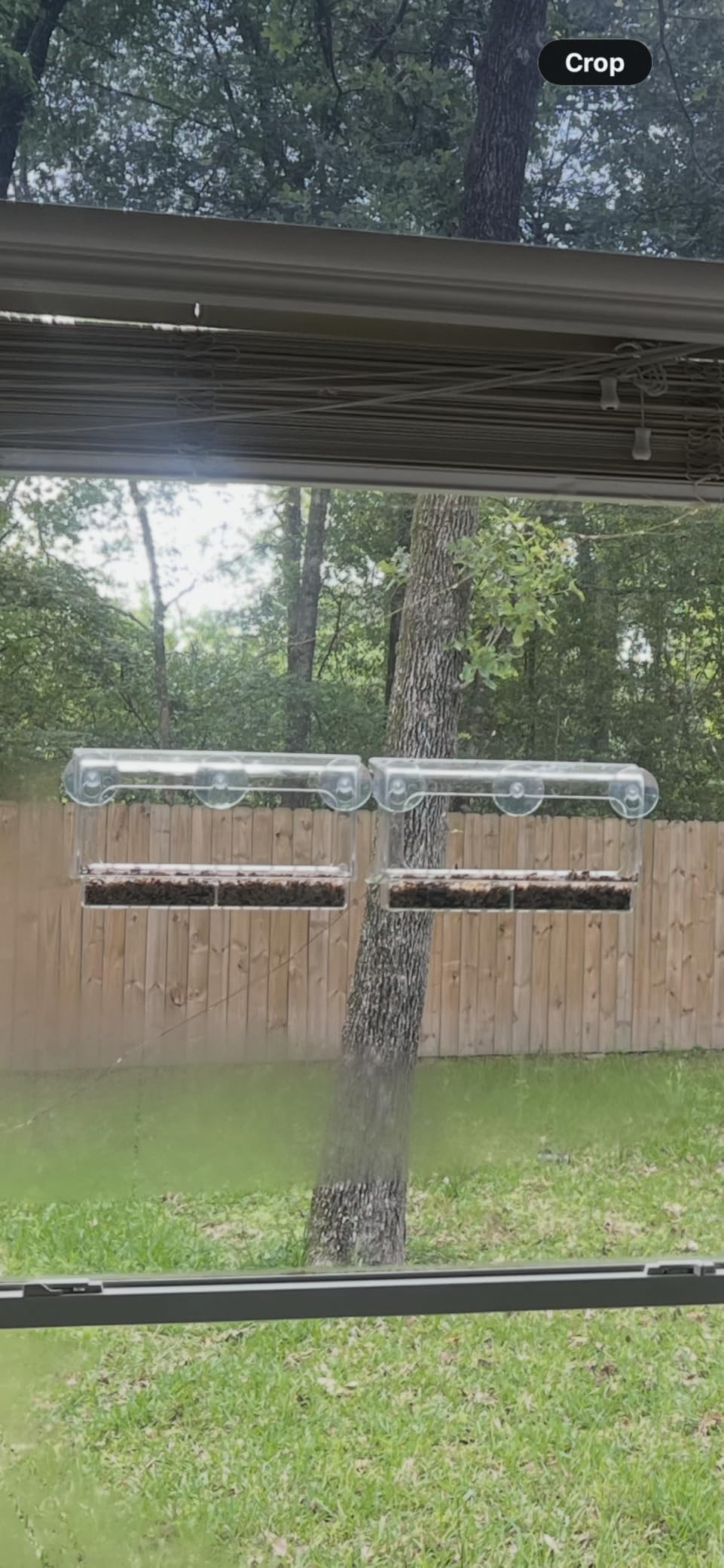LUJII Shatterproof Window Bird Feeder with Strongest Suction Cups, Polycarbonate Window Mount Feeder with Crystal Clear View & Lift-Out Tray, Fits Bigger Birds Like Cardinal or Blue Jay, Clear customer photo 1