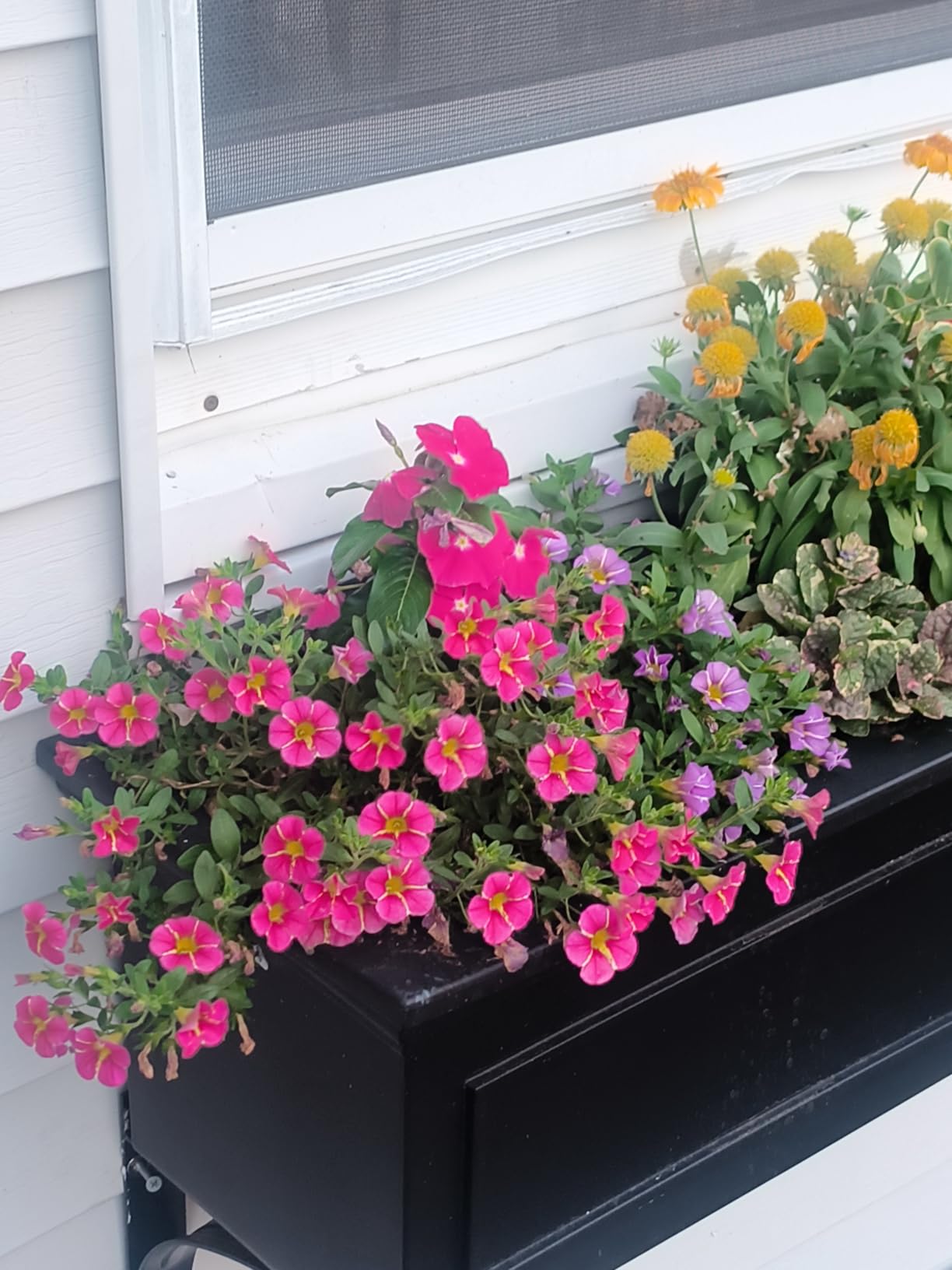 Veradek Brixton Series Window Box Planter - Rectangular Outdoor Planter customer photo 2