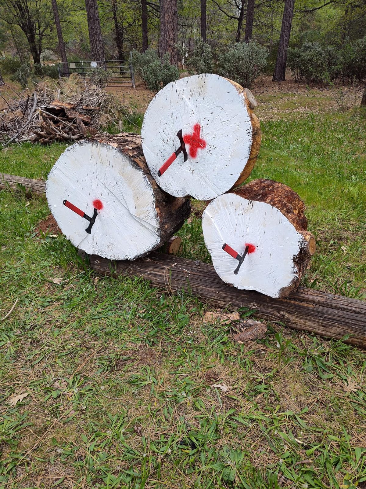 NedFoss Throwing Axes Set, 11.9
