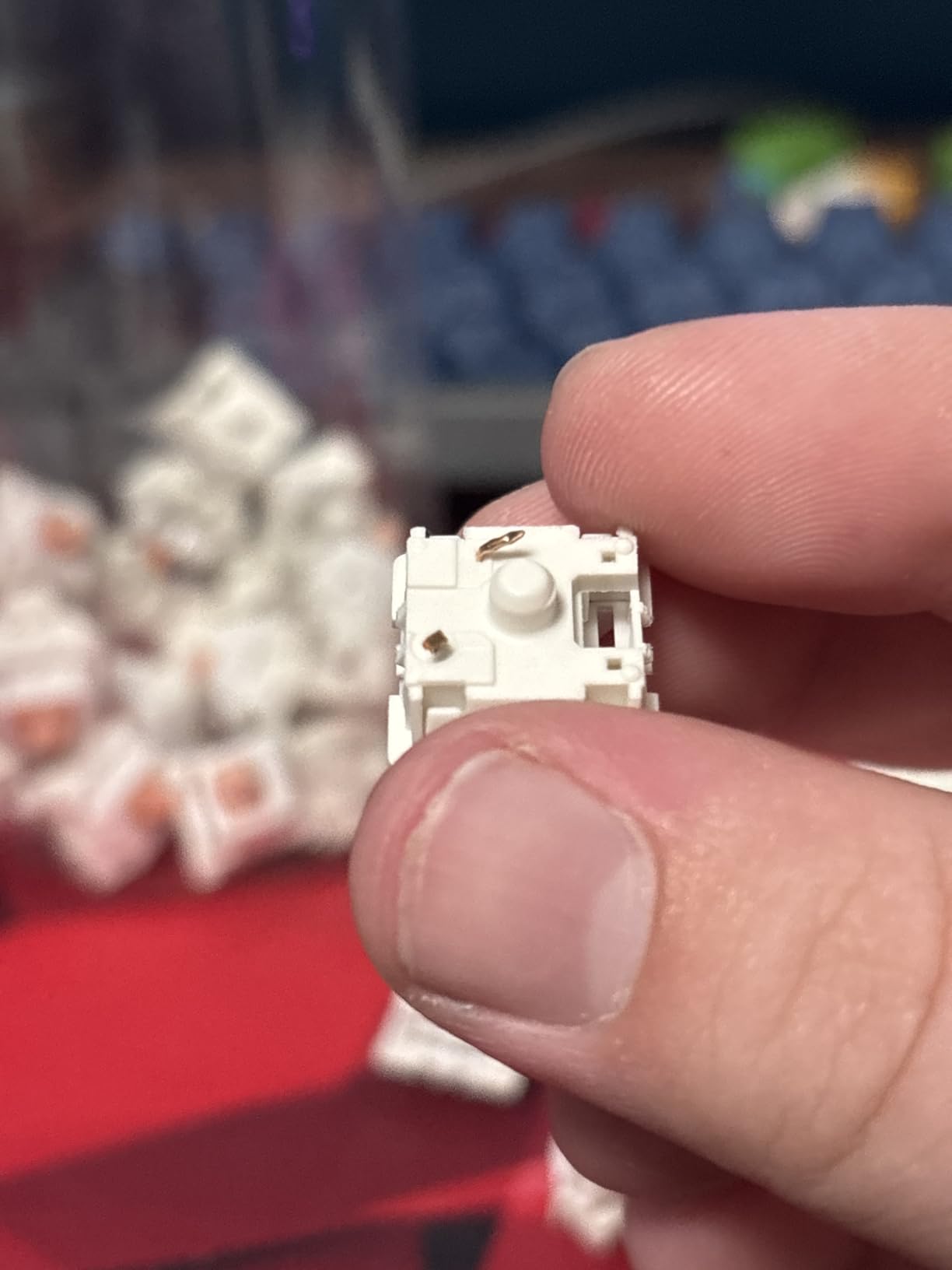 Holy Panda Mechanical Keyboard Switch, 3Pin Pre Lubed, 67g Extended Spring, Enhance Tactile Plate Mounted MX Switch (100 Pack) customer photo 1